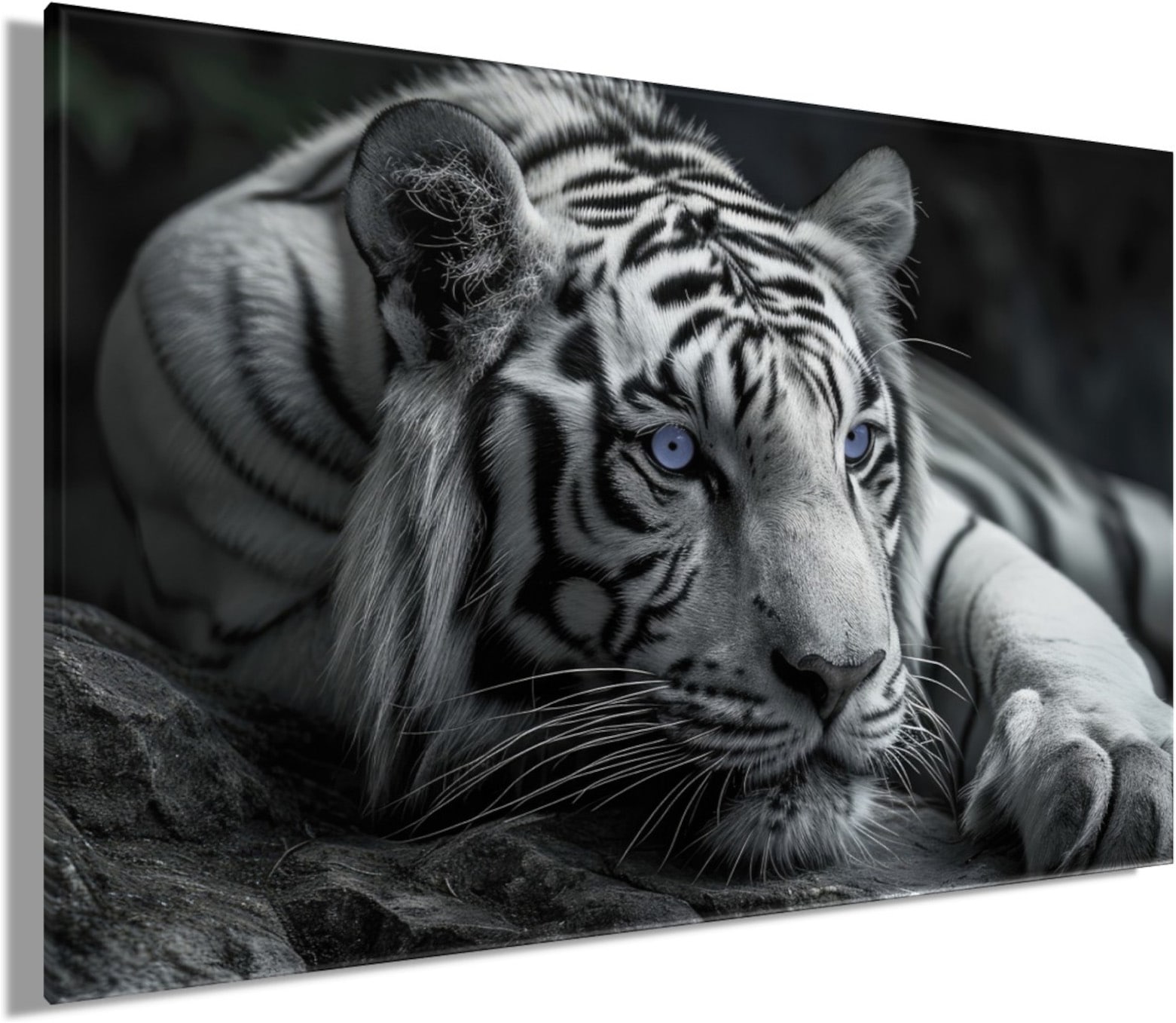Bönninghoff Bild »Wandbild TIGER 78x118 cm – Leinwandbild Keilrahmen Deko modern« Raubkatzen | Tiger | Wildtiere auf Keilrahmen gespannt