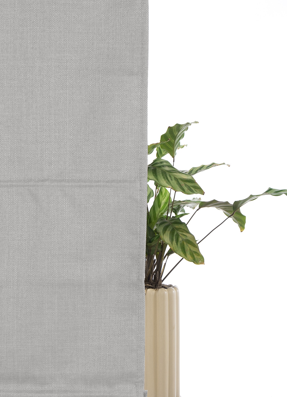 my home Store à enrouleur »RIOLA« verdunkelnd ohne Bohren freihängend Faltrollo in trendiger Leinenoptik, einfache Montage