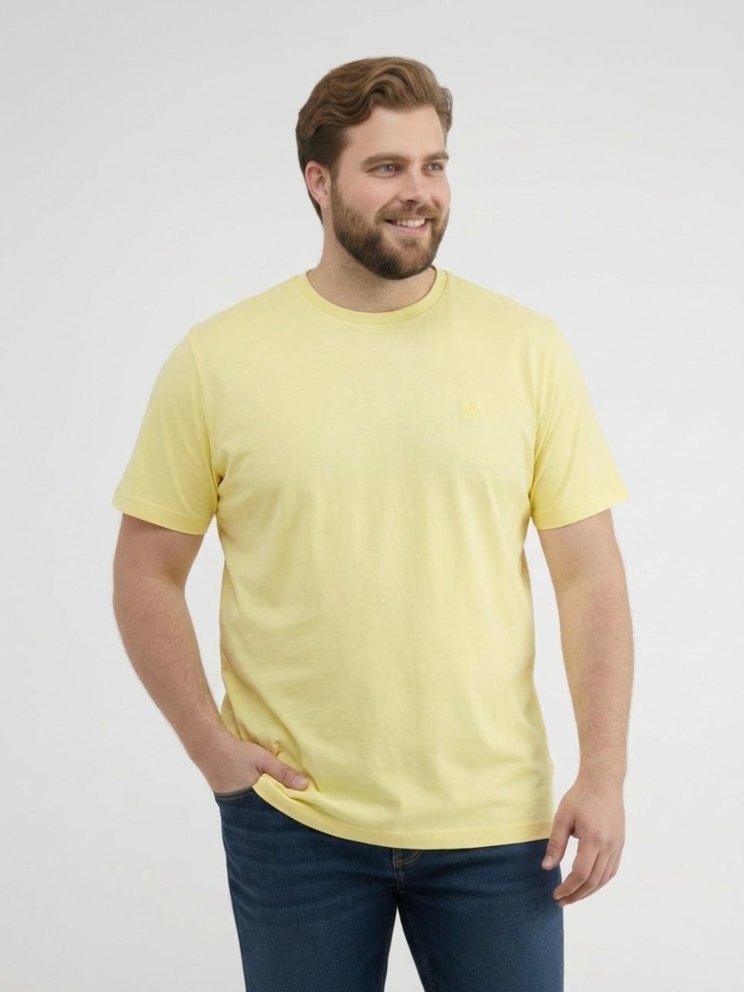 Image of LERROS Rundhalsshirt "T-Shirt mit Rundkragen aus weicher Baumwolle, grosse Grössen"
