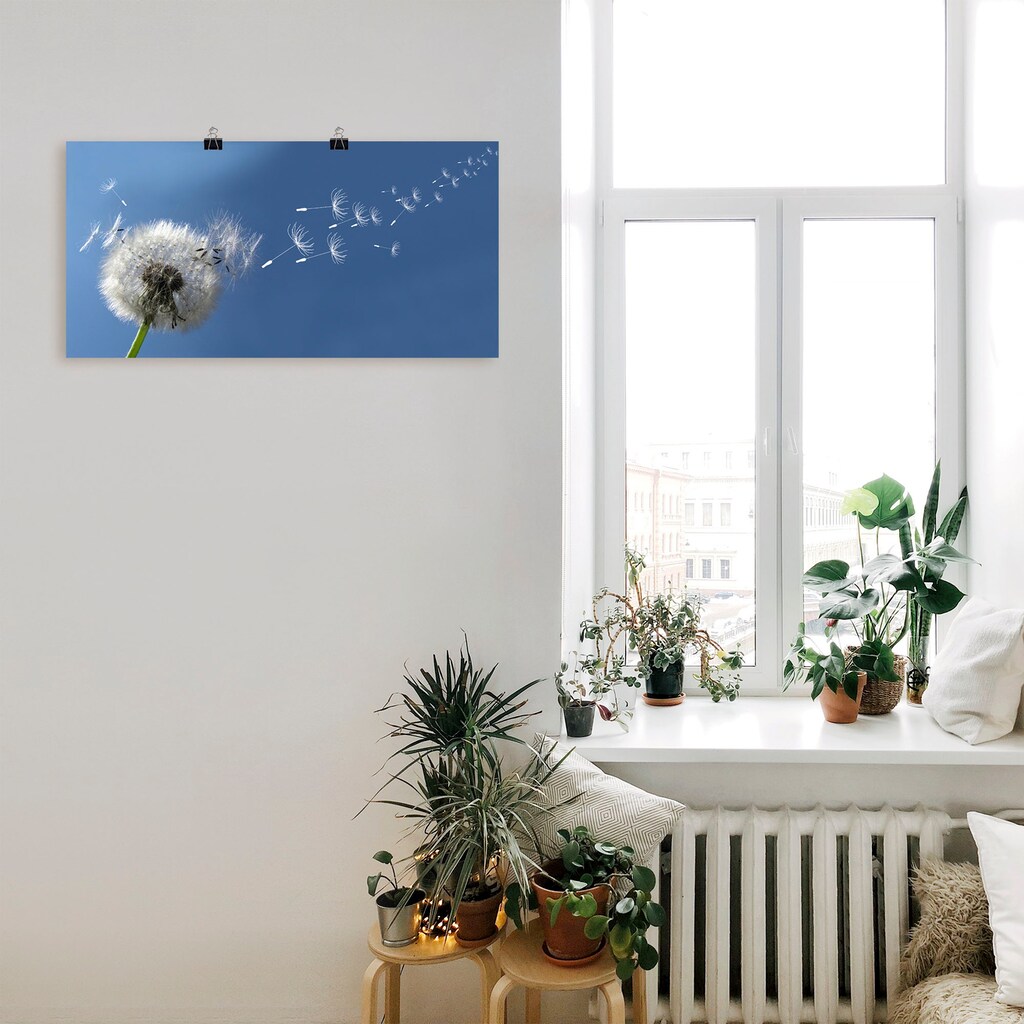 Artland Wandbild »Pusteblume«, Blumen, (1 St.)