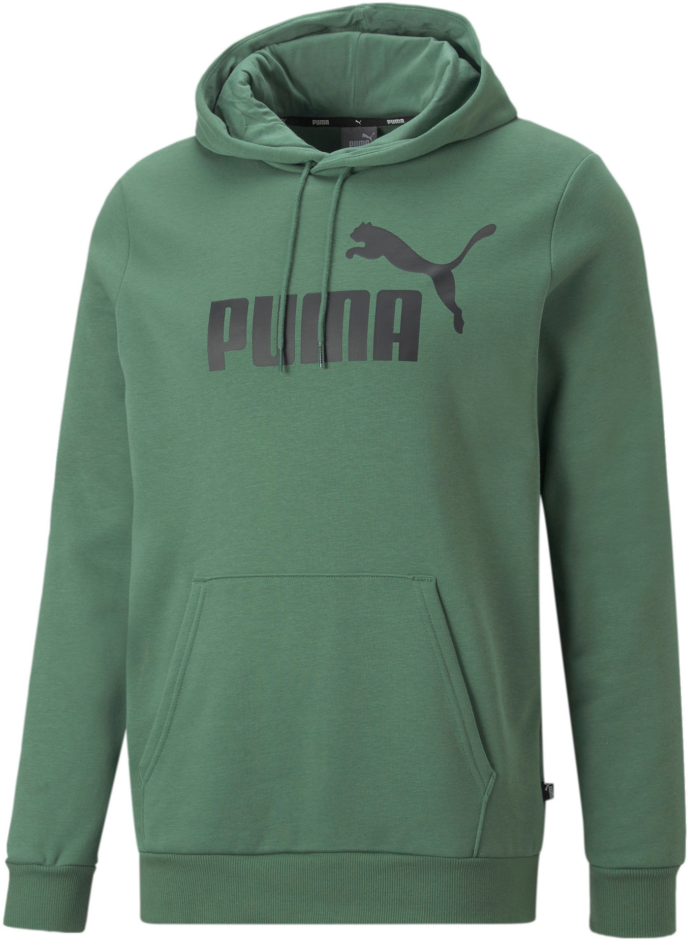 Image of PUMA Kapuzensweatshirt »ESS Big Logo Hoodie FL (s)« bei Ackermann Versand Schweiz