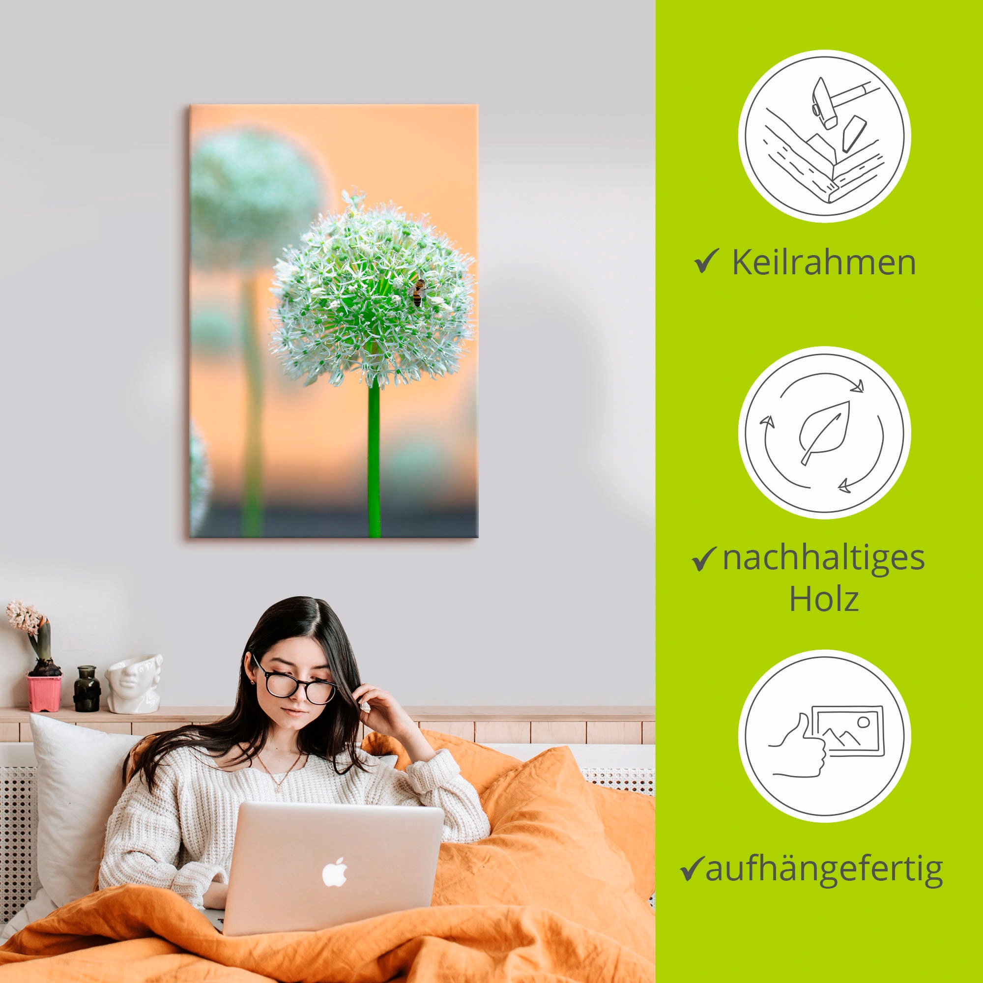 Artland Leinwandbild »Grosser Allium in Pastell« Blumen 1 Stk. tlg. auf Holzrahmen gespannt