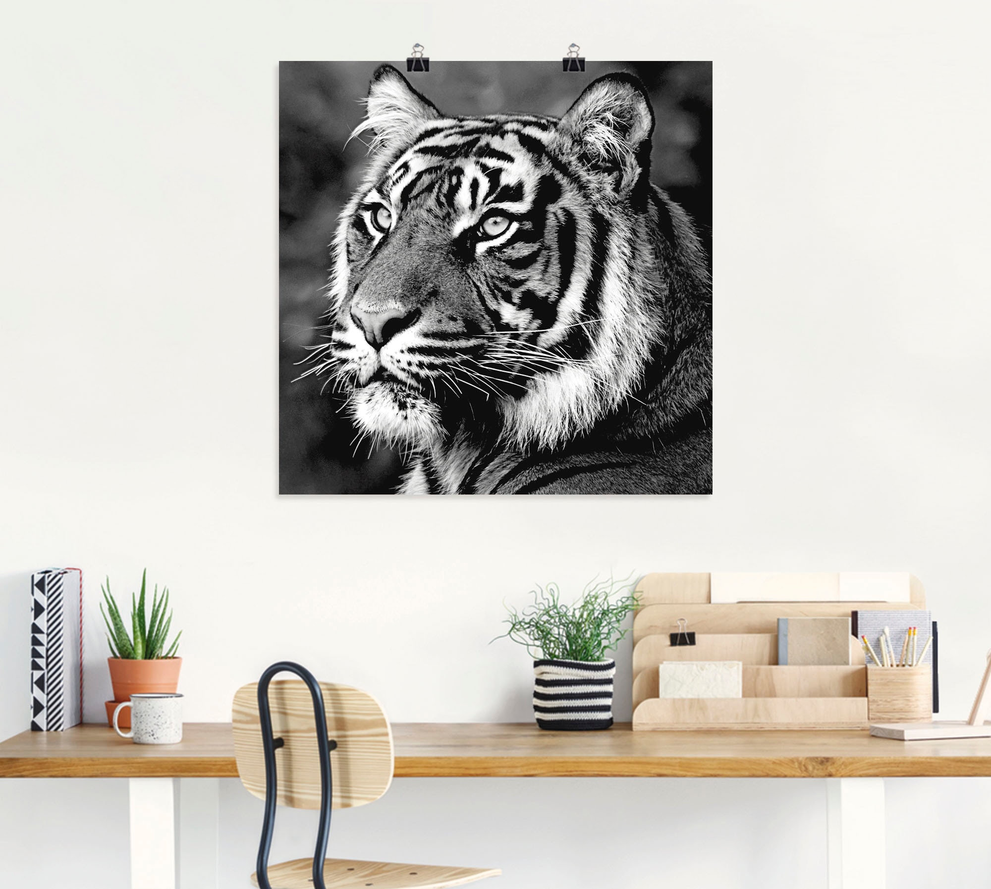 Artland Wandbild »Tiger«, Wildtiere, (1 St.), als Leinwandbild, Poster, Wandaufkleber in verschied. Grössen