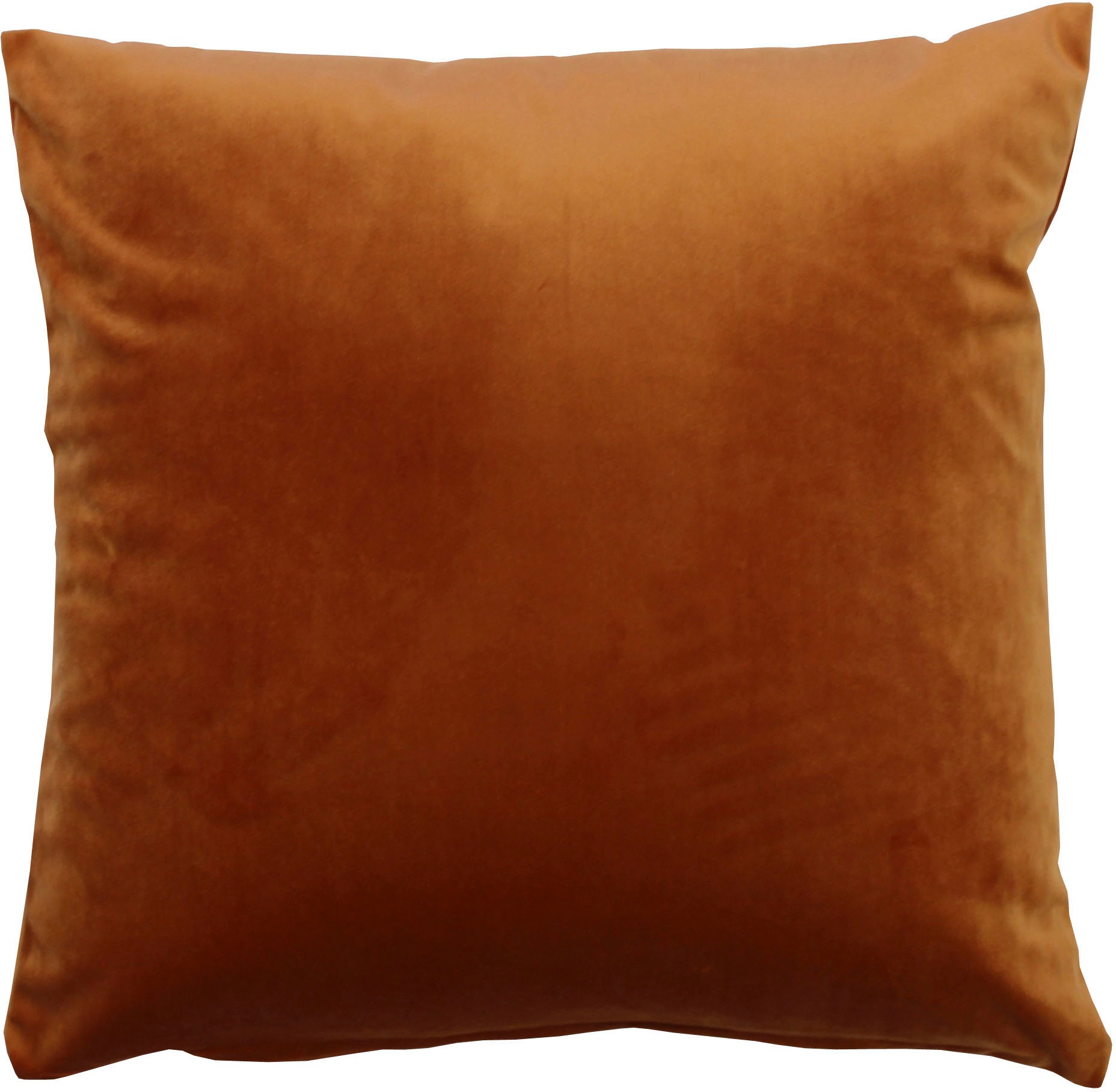 Image of HOME WOHNIDEEN Dekokissen »SAMT UNI«, (1 St.), SAMT UNI bei Ackermann Versand Schweiz