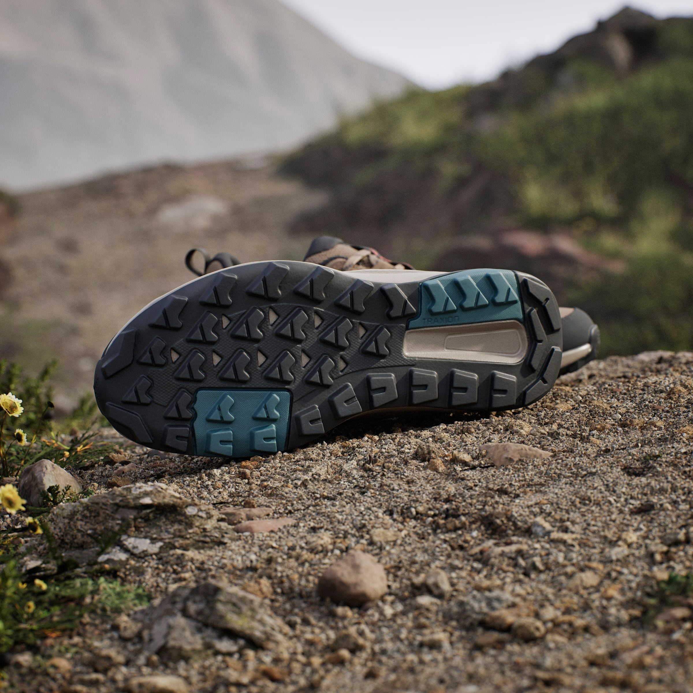 adidas TERREX Wanderschuh »TERREX ANYLANDER«
