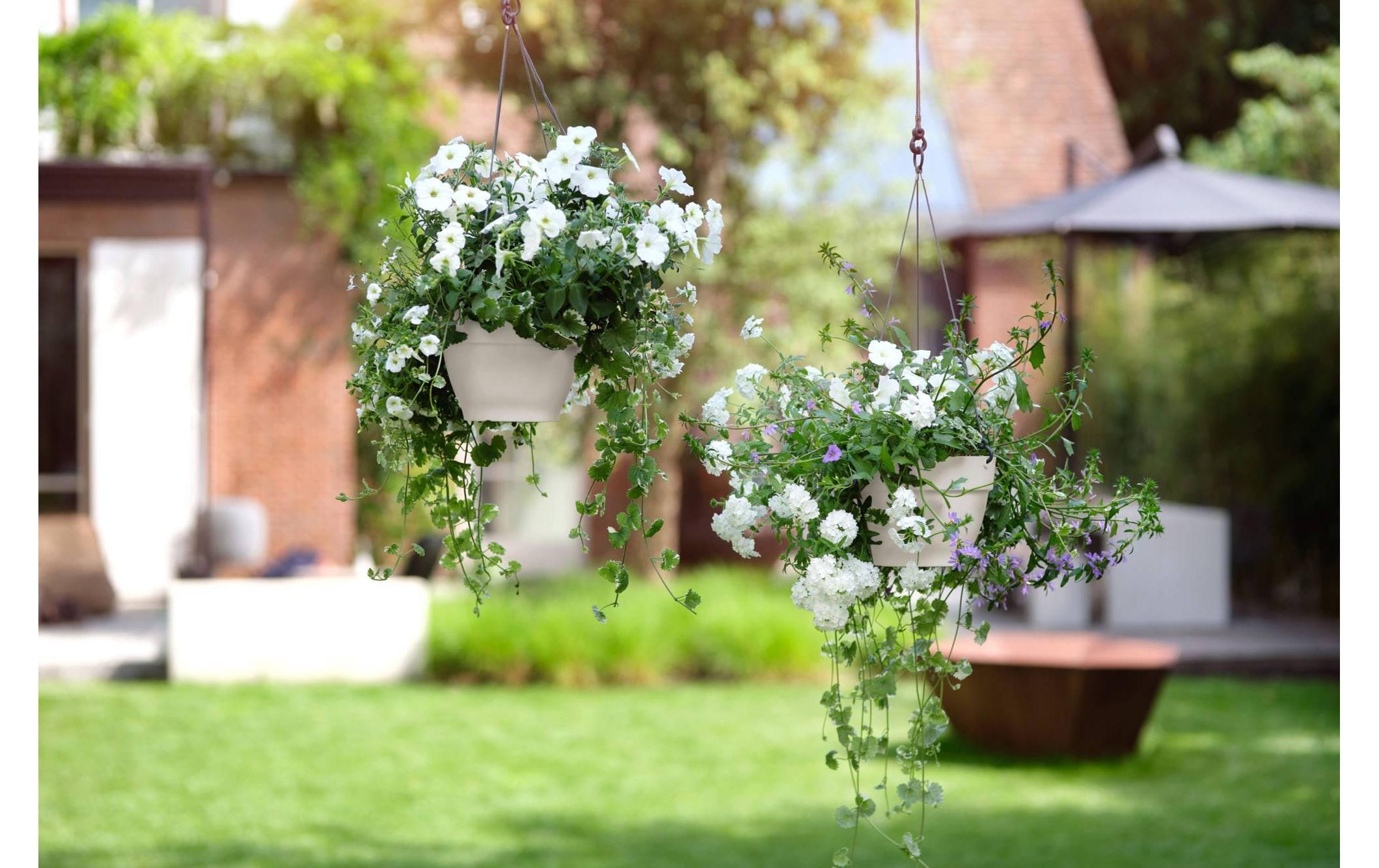 Elho Pot de fleurs »Vibia Campana Hängeampel 26 cm«