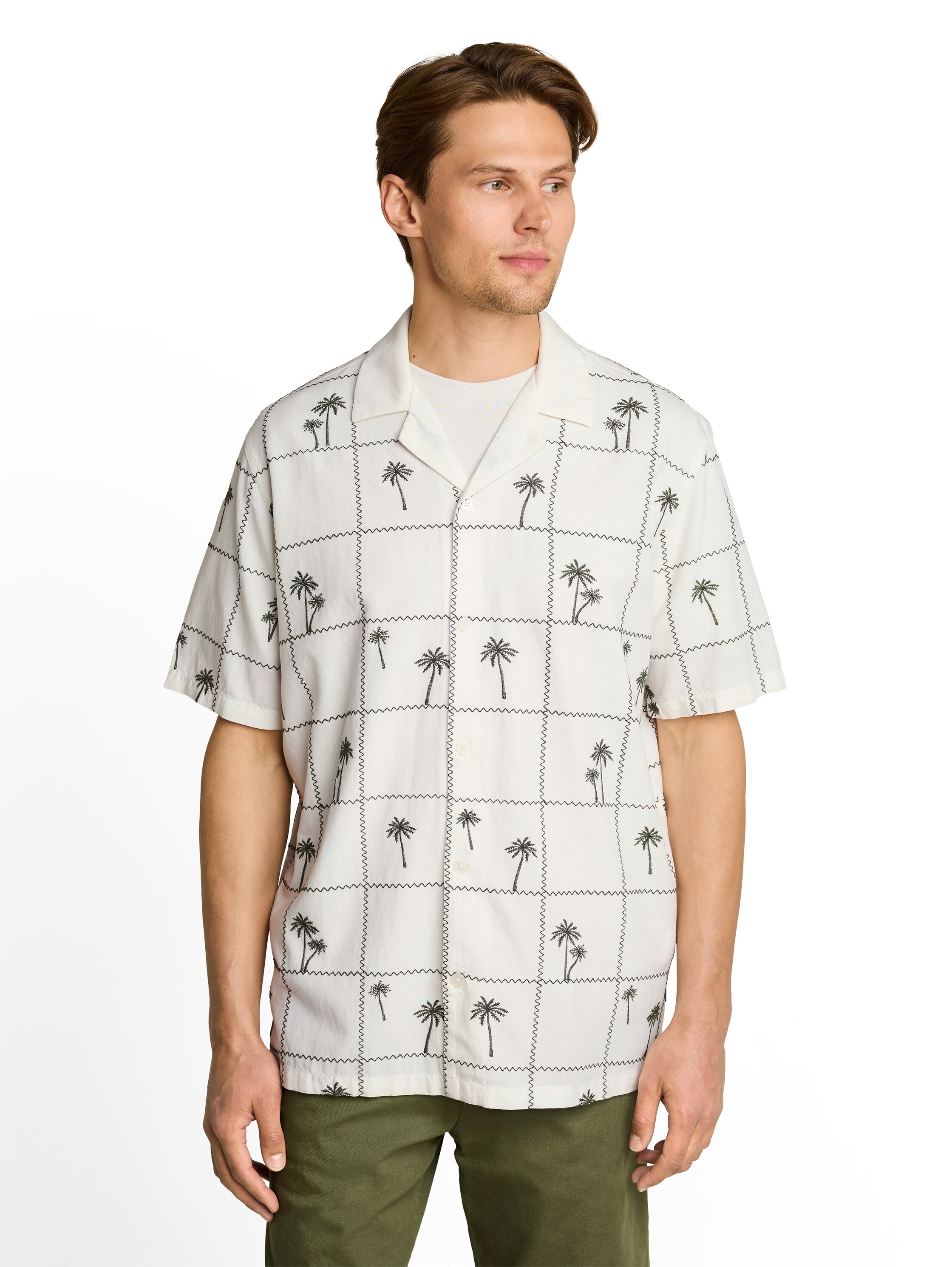 Image of TOM TAILOR Denim Kurzarmshirt Sommerhemd mit Stickereien