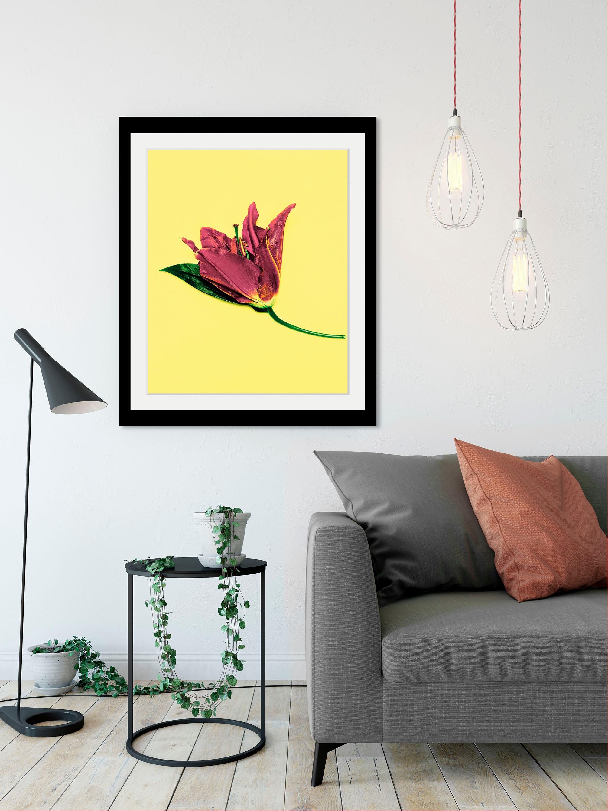 queence Bild »Blume«, Blumen-Blumenbilder-Pflanzen-Kunst, HD Premium Poster-Druck inkl. Holzrahmen