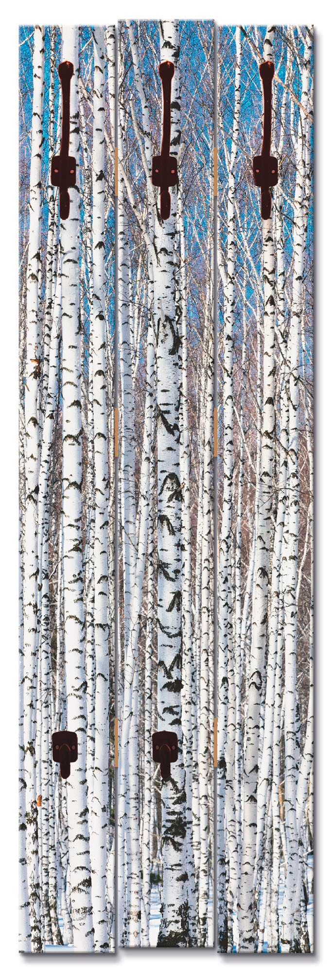 Image of Artland Garderobenleiste »Winterbirkenwald Wintergelassenheit«, platzsparende Wandgarderobe aus Holz mit 5 Haken, geeignet für kleinen, schmalen Flur, Flurgarderobe bei Ackermann Versand Schweiz