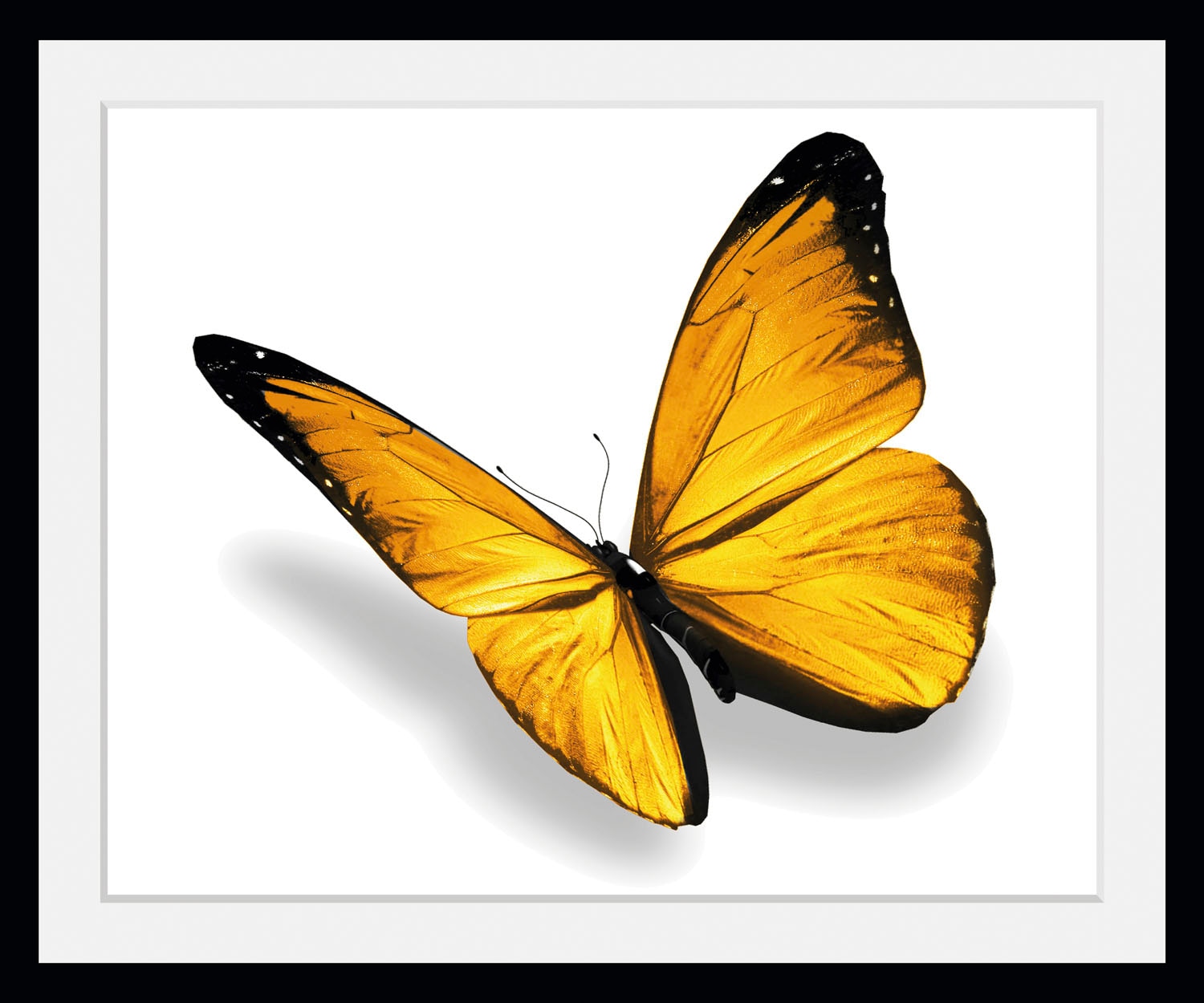 Image of queence Bild "Maria 3.0" Insekten Kunst Schmetterlinge 1 Stk. tlg. HD Premium Poster-Druck inkl. Holzrahmen