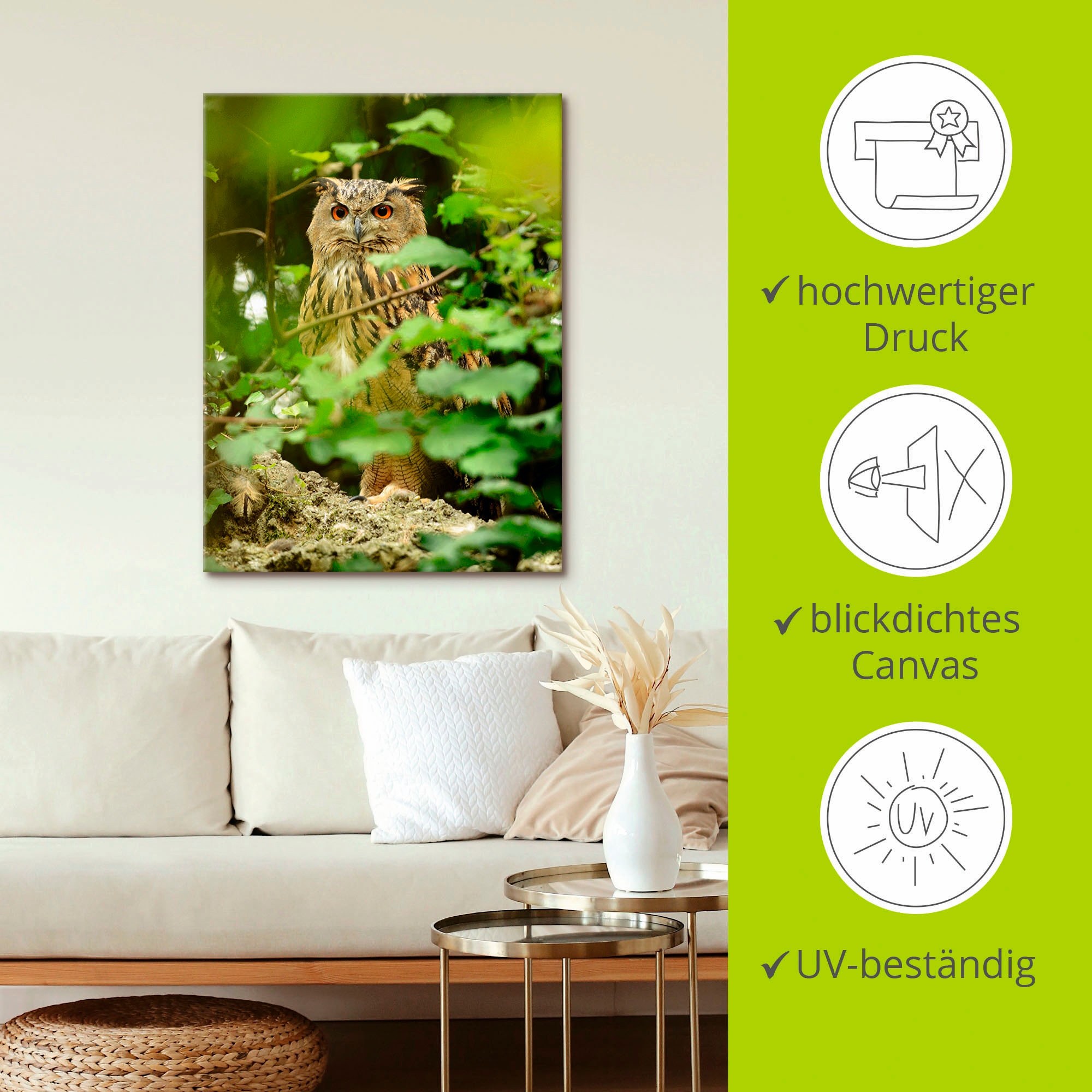 Artland Wandbild »Vogel Uhu« Vögel 1 Stk. tlg. als Leinwandbild, Poster in verschied. Grössen