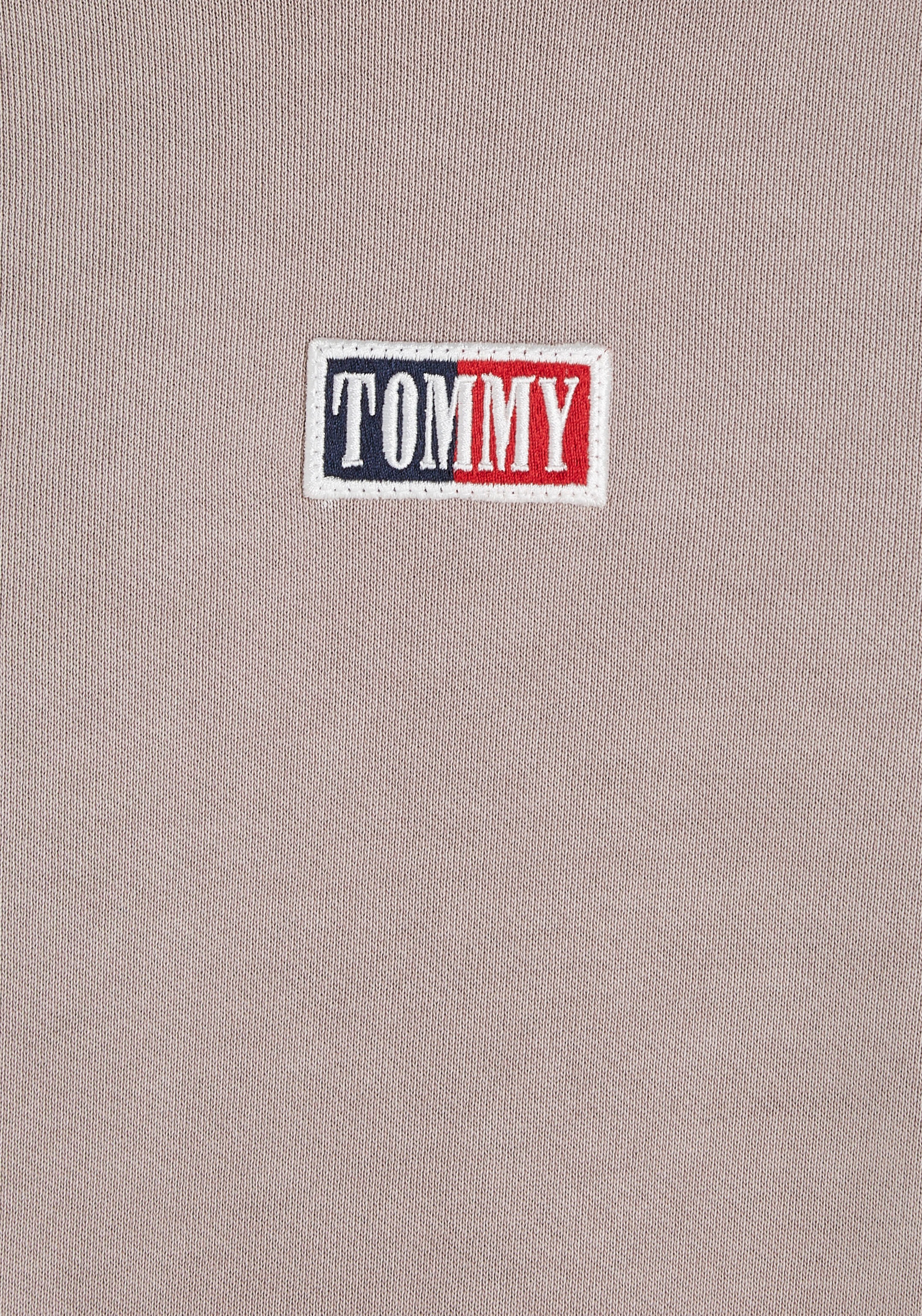 Tommy Jeans Sweater »TJM SKATER TIMELESS TOMMY CREW«