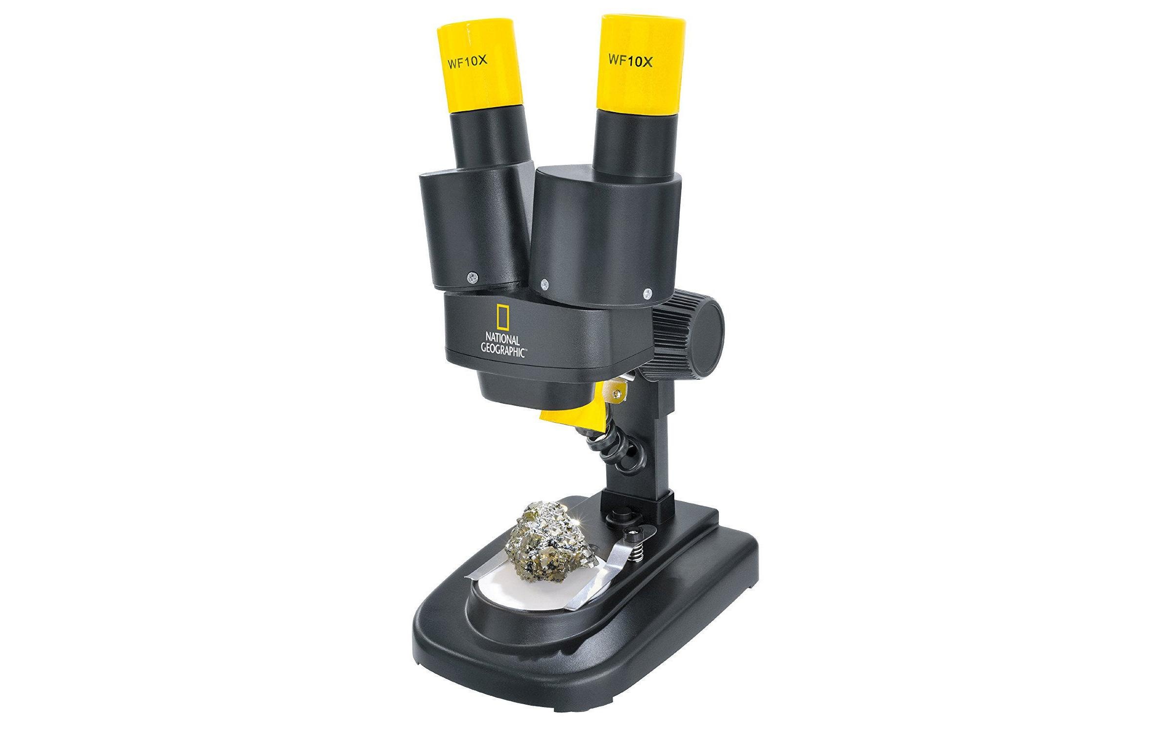 Image of NATIONAL GEOGRAPHIC Lernspielzeug »Mikroskop Stereo Mikroskop«, 20x Vergrösserung bei Ackermann Versand Schweiz