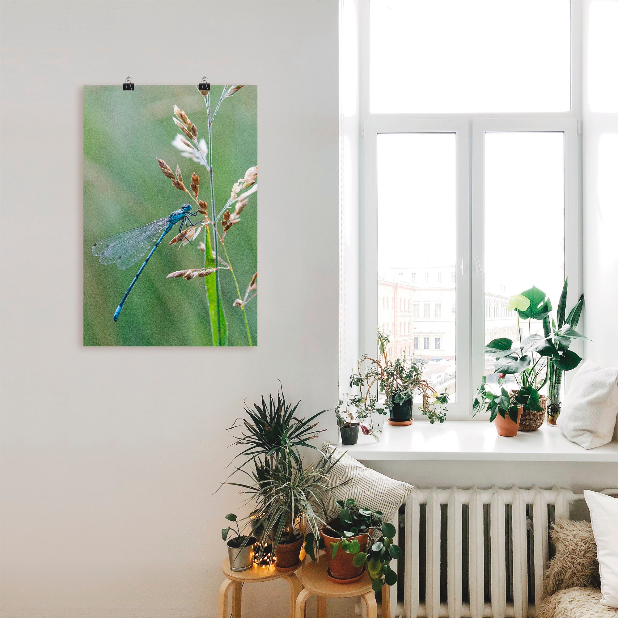 Artland Poster »Kleine Libelle«, Insekten, (1 St.), als Alubild, Leinwandbild, Wandaufkleber oder Poster in versch. Grössen