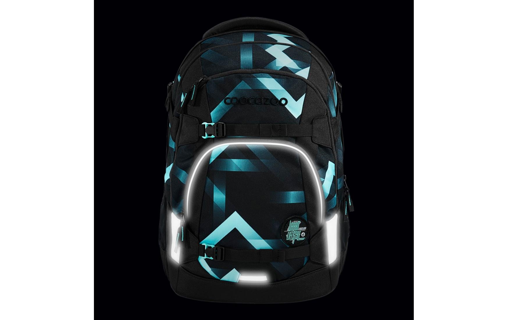 Coocazoo Schulrucksack »Coocazoo Schulrucksack MATE«