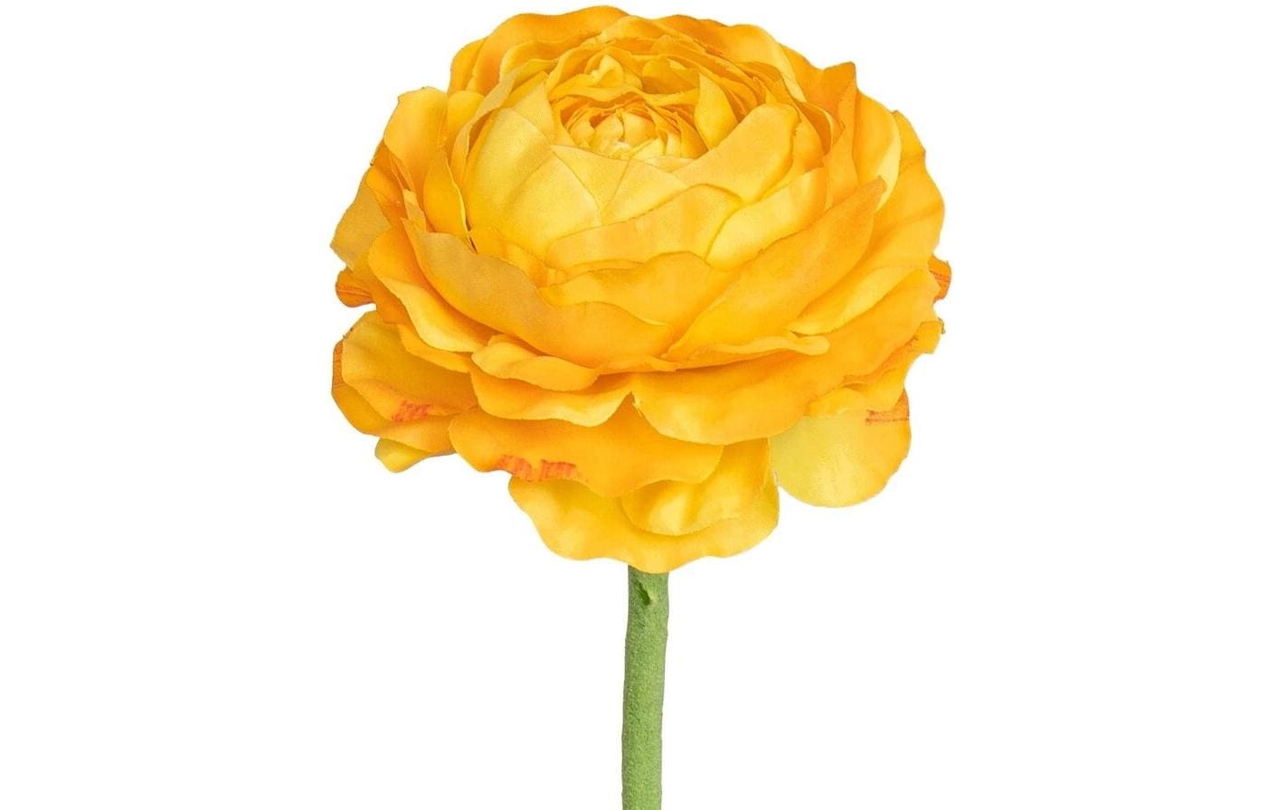 Botanic-Haus Kunstblume »Ranunkel 50 cm«
