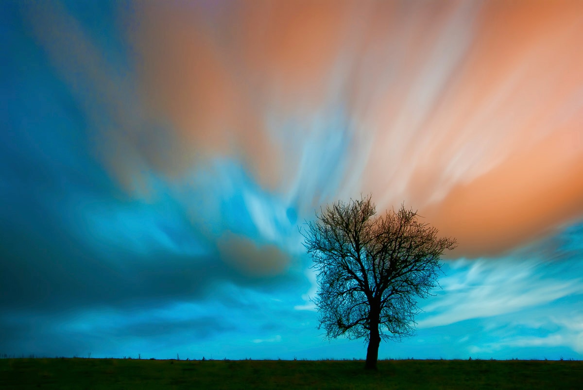 Image of Papermoon Fototapete "Baum auf Wiese"