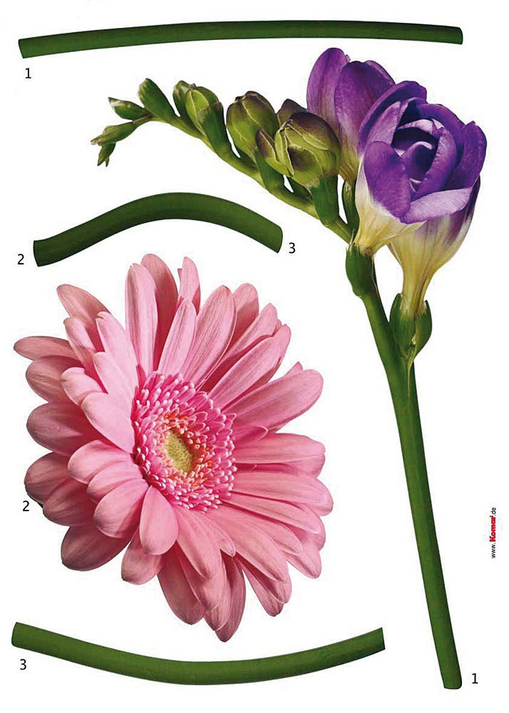 Image of Komar Wandtattoo »Fiore«, (Set, 5 St.), selbstklebend, rückstandslos abziehbar bei Ackermann Versand Schweiz