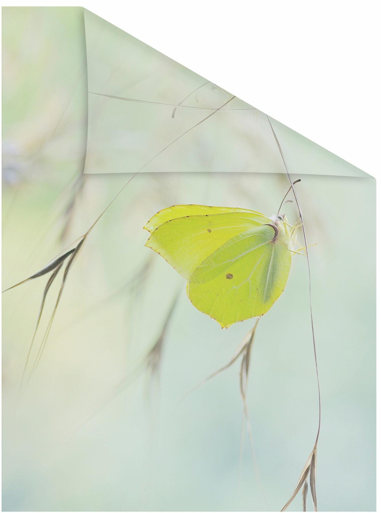 Image of LICHTBLICK ORIGINAL Fensterfolie "Schmetterling Grün" 1 Stk. blickdicht strukturiert Klebepunkte selbstklebend, Sichtschutz