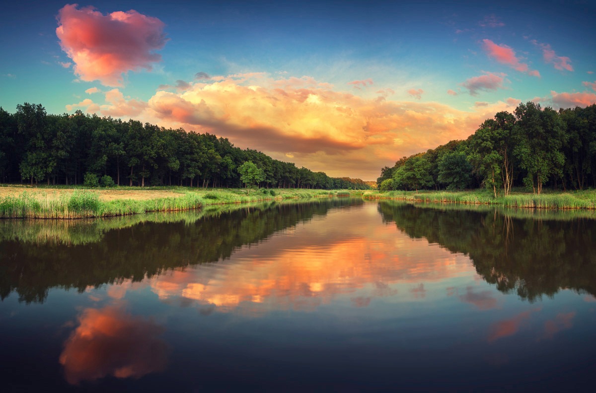 Image of Papermoon Fototapete »Brücke im Garten«, Vliestapete, hochwertiger Digitaldruck, inklusive Kleister bei Ackermann Versand Schweiz