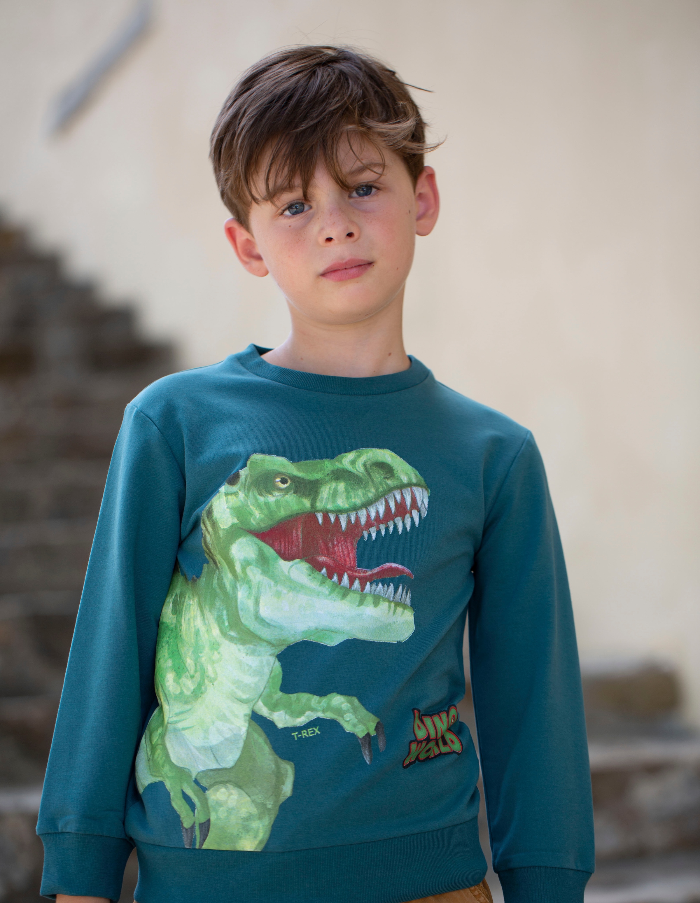 Trendige Dino World Mindestbestellwert Sweatshirt ohne »Dino Sweatshirt« - versandkostenfrei kaufen World