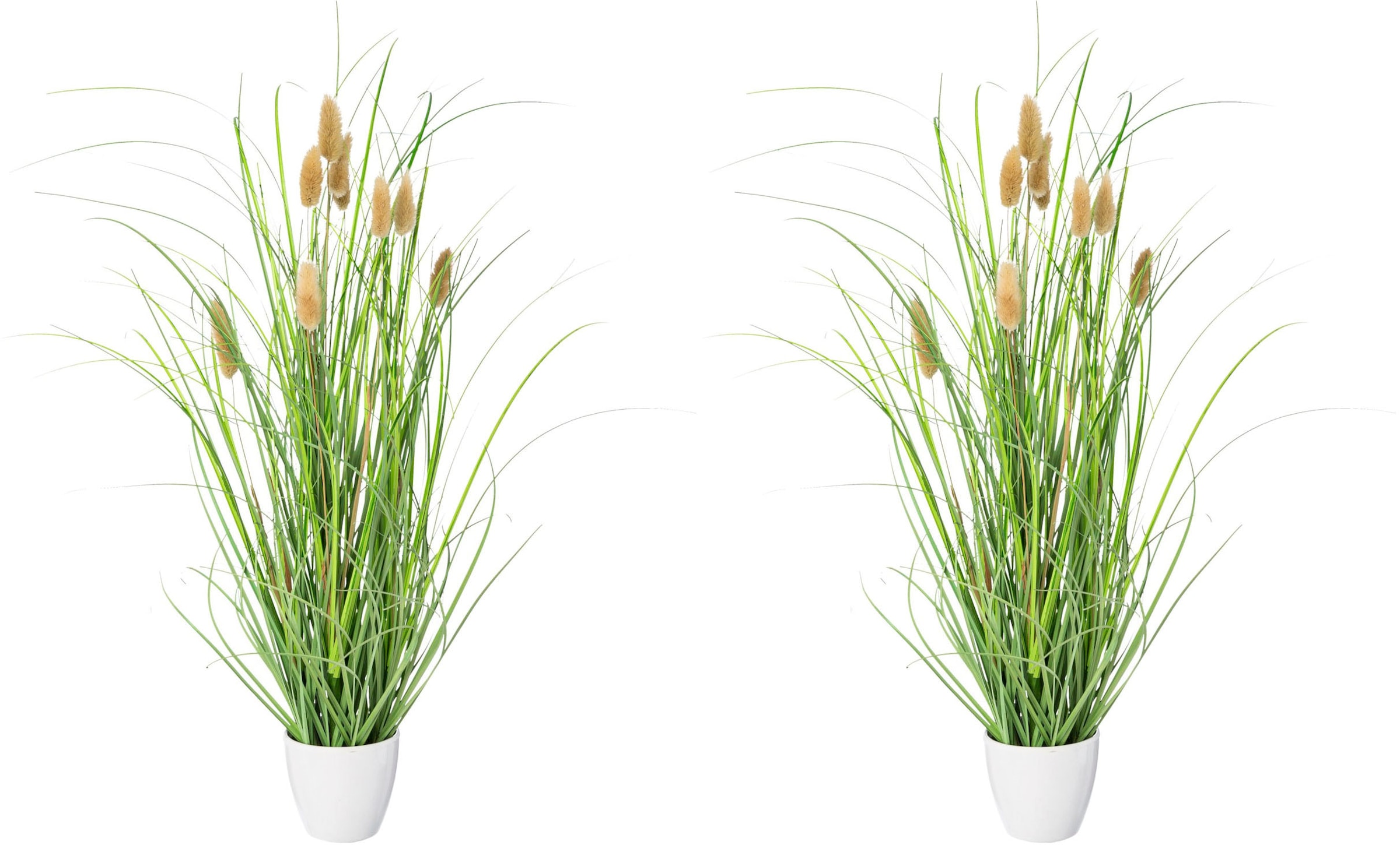 Creativ green Kunstgras »Grasbusch Lagurus«