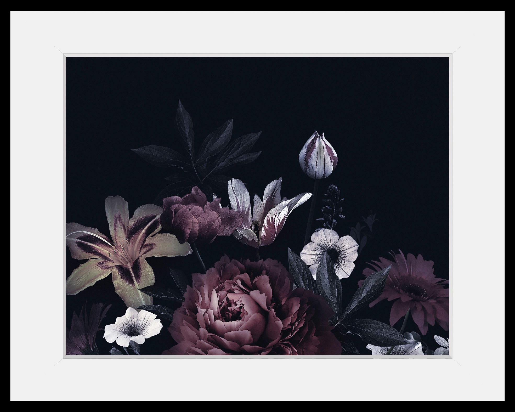 Image of queence Bild »Valeria«, Blumen, (1 St.) bei Ackermann Versand Schweiz