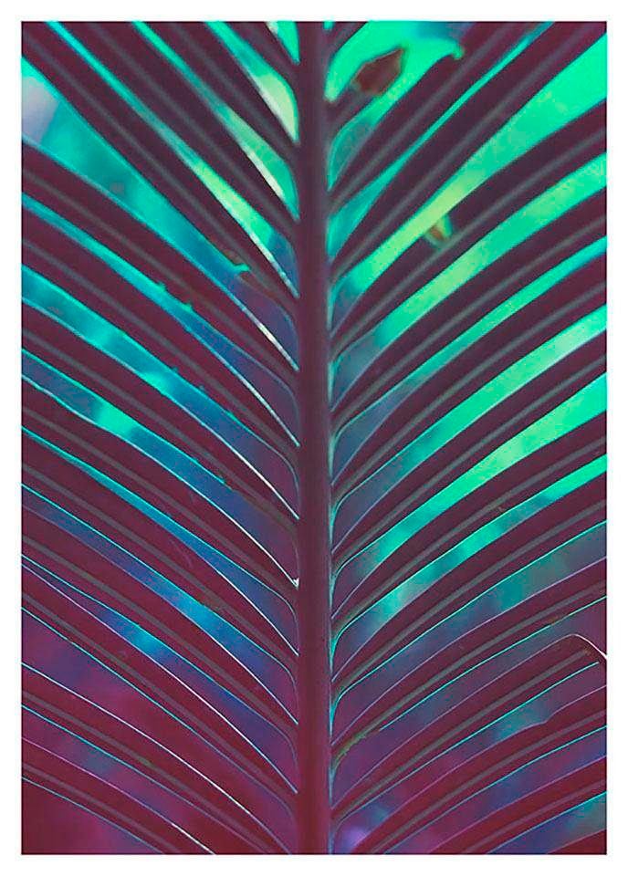 Komar Bild »Hide« Blätter | Pflanzen 1 Stk. tlg. Wandbild zur Dekoration - ohne Rahmen