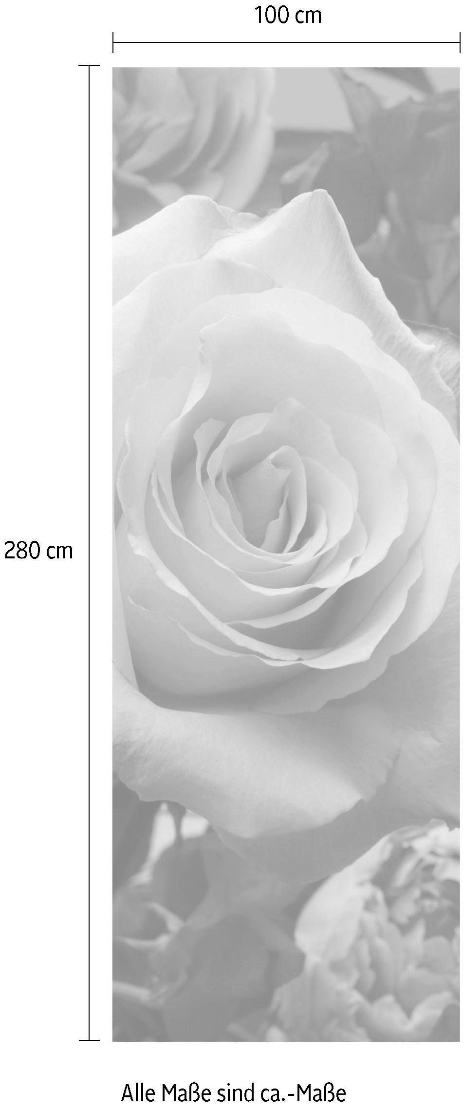 Komar Papier peint intissé »Digitaldruck Vlies -  Rosenduft - Grösse 100 x 280 cm« imprimé Wohnzimmer, Schlafzimmer