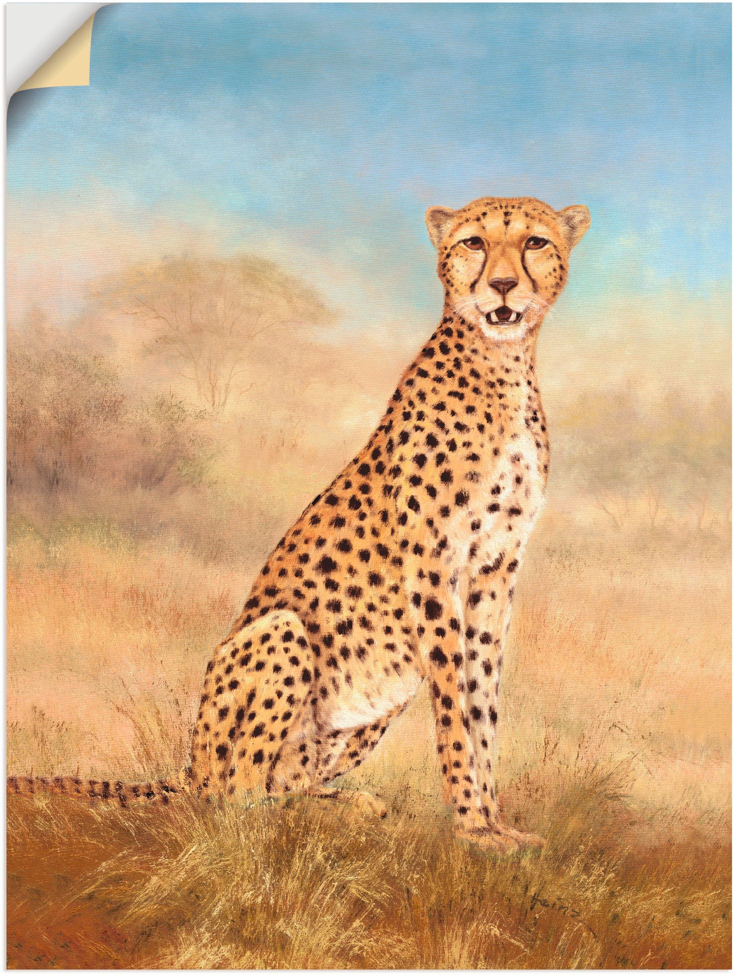 Image of Artland Wandbild »Gepard Savanne«, Wildtiere, (1 St.), in vielen Grössen & Produktarten - Alubild / Outdoorbild für den Aussenbereich, Leinwandbild, Poster, Wandaufkleber / Wandtattoo auch für Badezimmer geeignet bei Ackermann Versand Schweiz