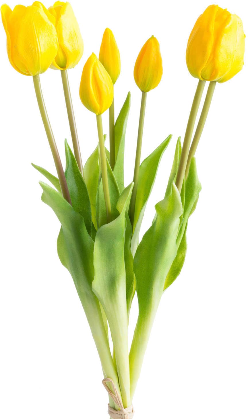 Botanic-Haus günstig Kunstblume kaufen »Tulpenbündel«
