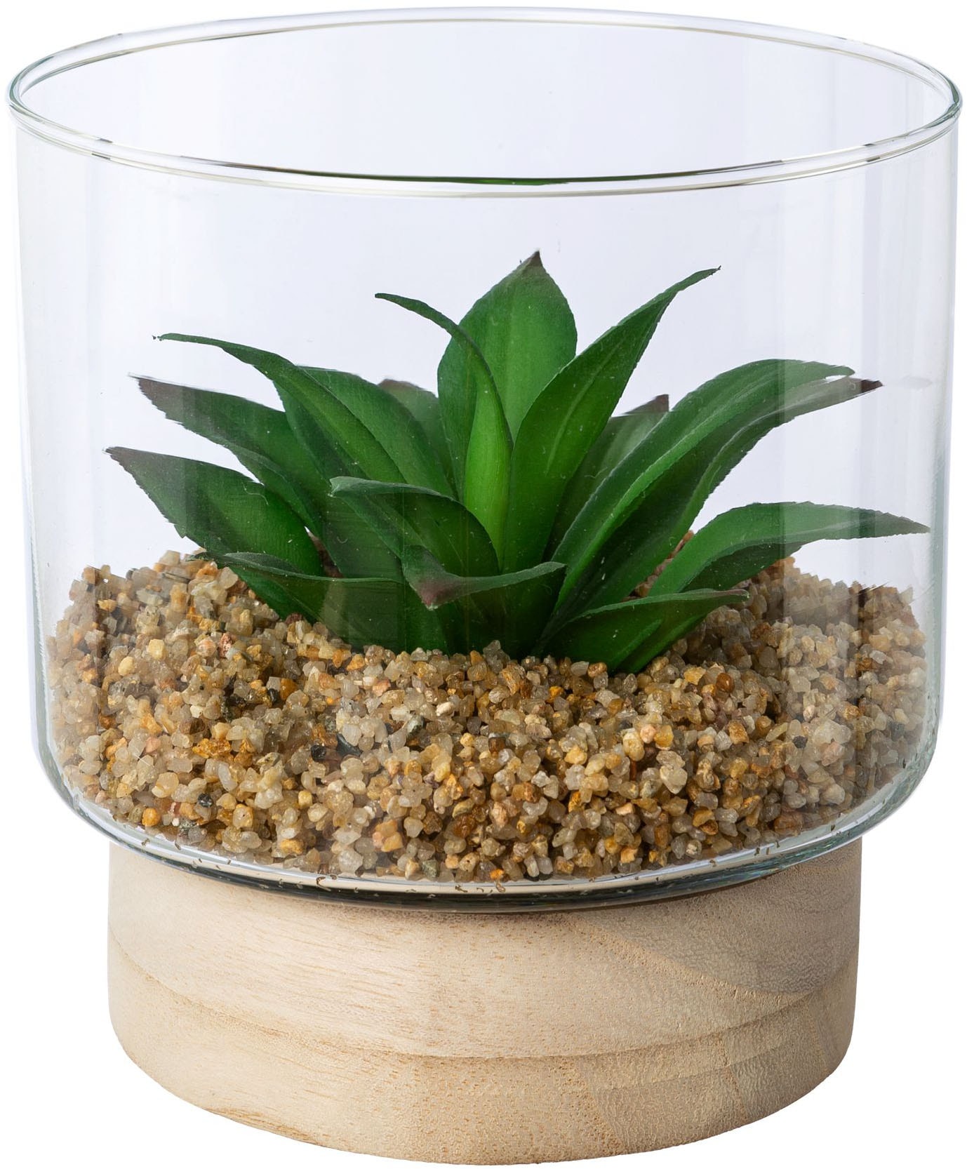 Creativ green Kunstpflanze »Sukkulenten im Glasgefäss« mit 2 verschiedenen Sukkulenten