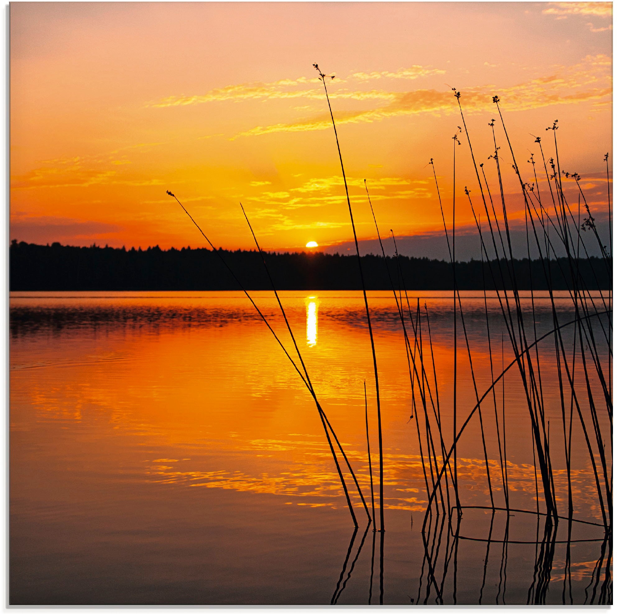 Image of Artland Glasbild "Landschaft mit Sonnenaufgang" Sonnenaufgang & -untergang 1 Stk. tlg. in verschiedenen Grössen