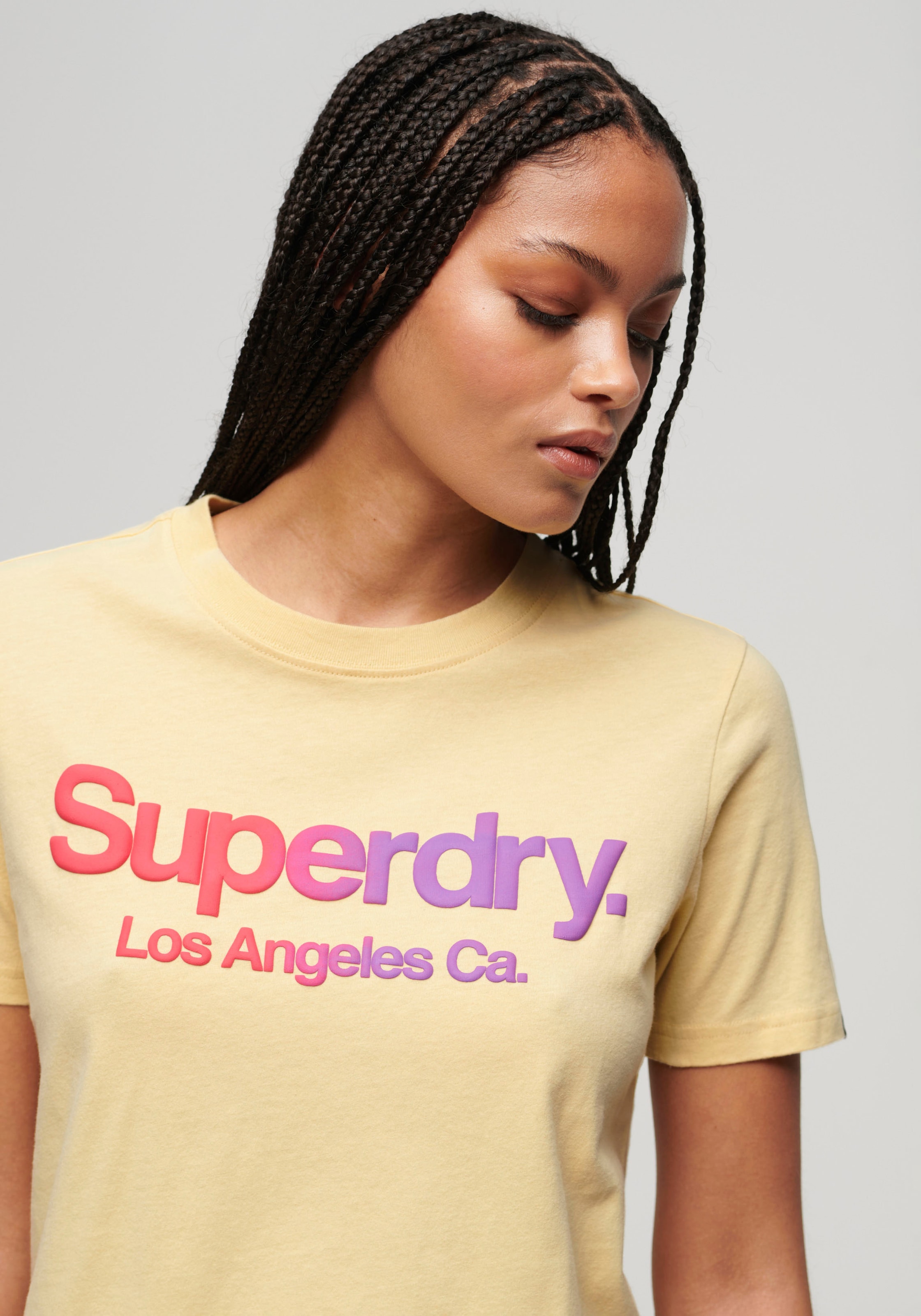 Superdry T-Shirt »TONAL RAINBOW CORE RELAXED TEE«