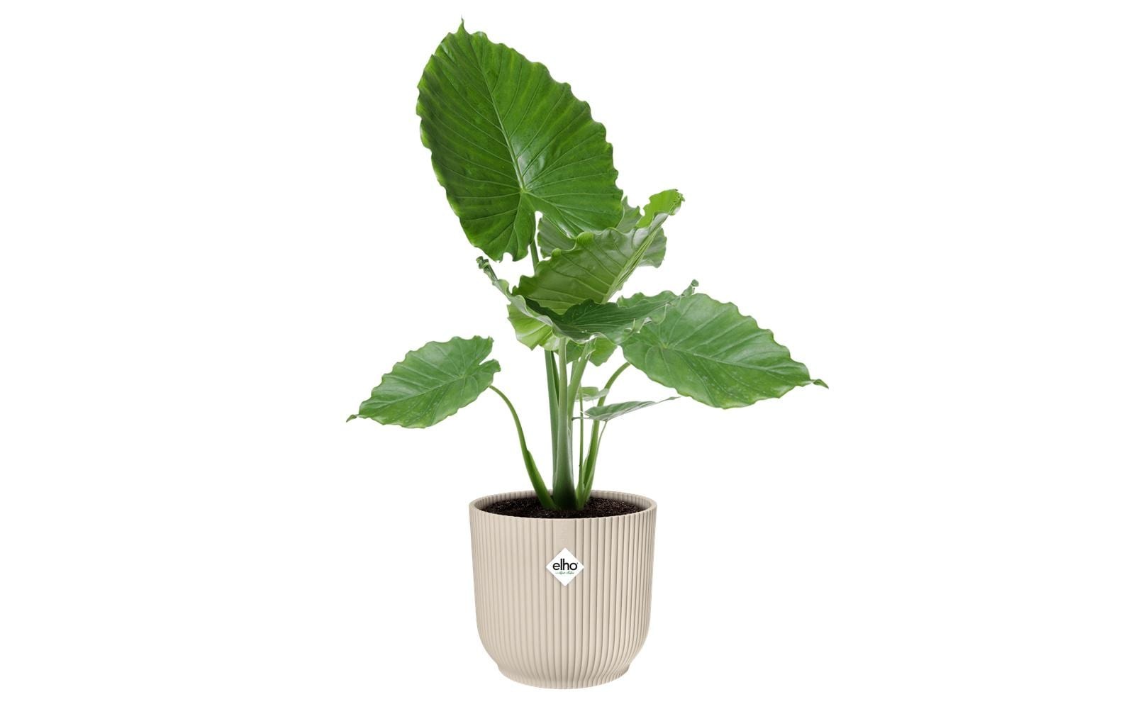 Elho "Vibes Fold Rund 47 cm"