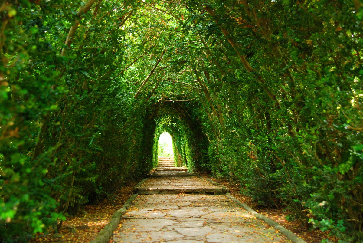 Image of Papermoon Fototapete »Gartenweg«, Vliestapete, hochwertiger Digitaldruck, inklusive Kleister bei Ackermann Versand Schweiz