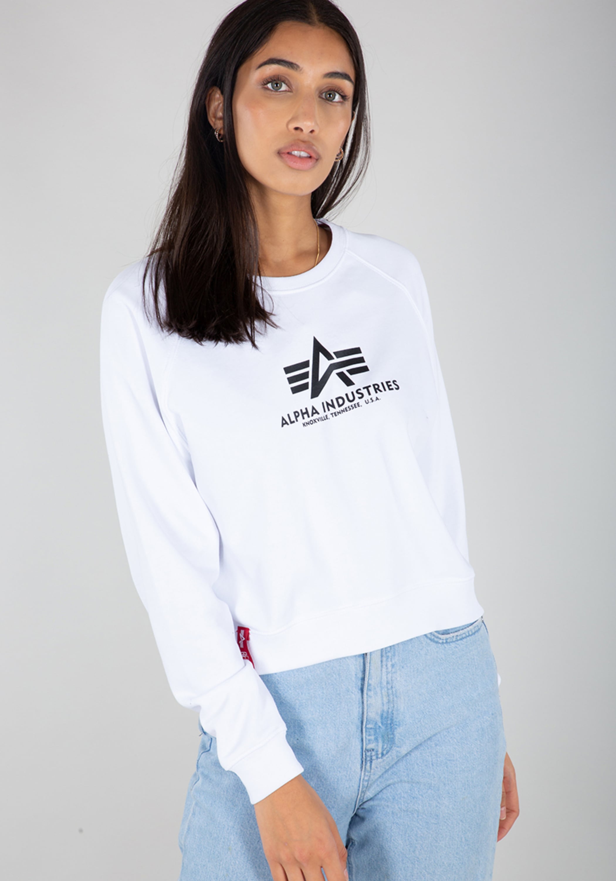 Image of Alpha Industries Sweater "Basic Boxy Sweater Women"