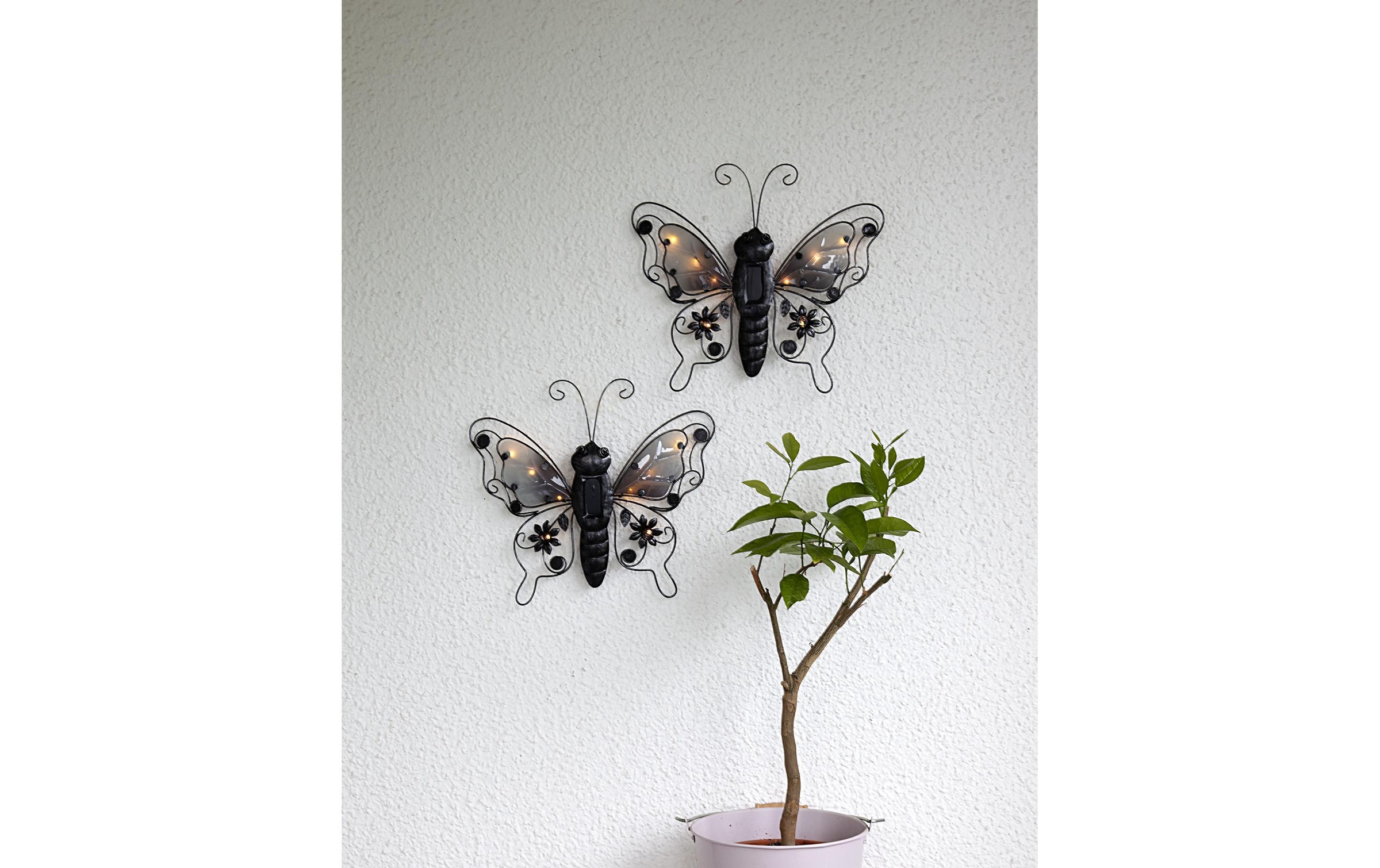 STAR TRADING Gartenleuchte »Solar Decoration Butterfly«
