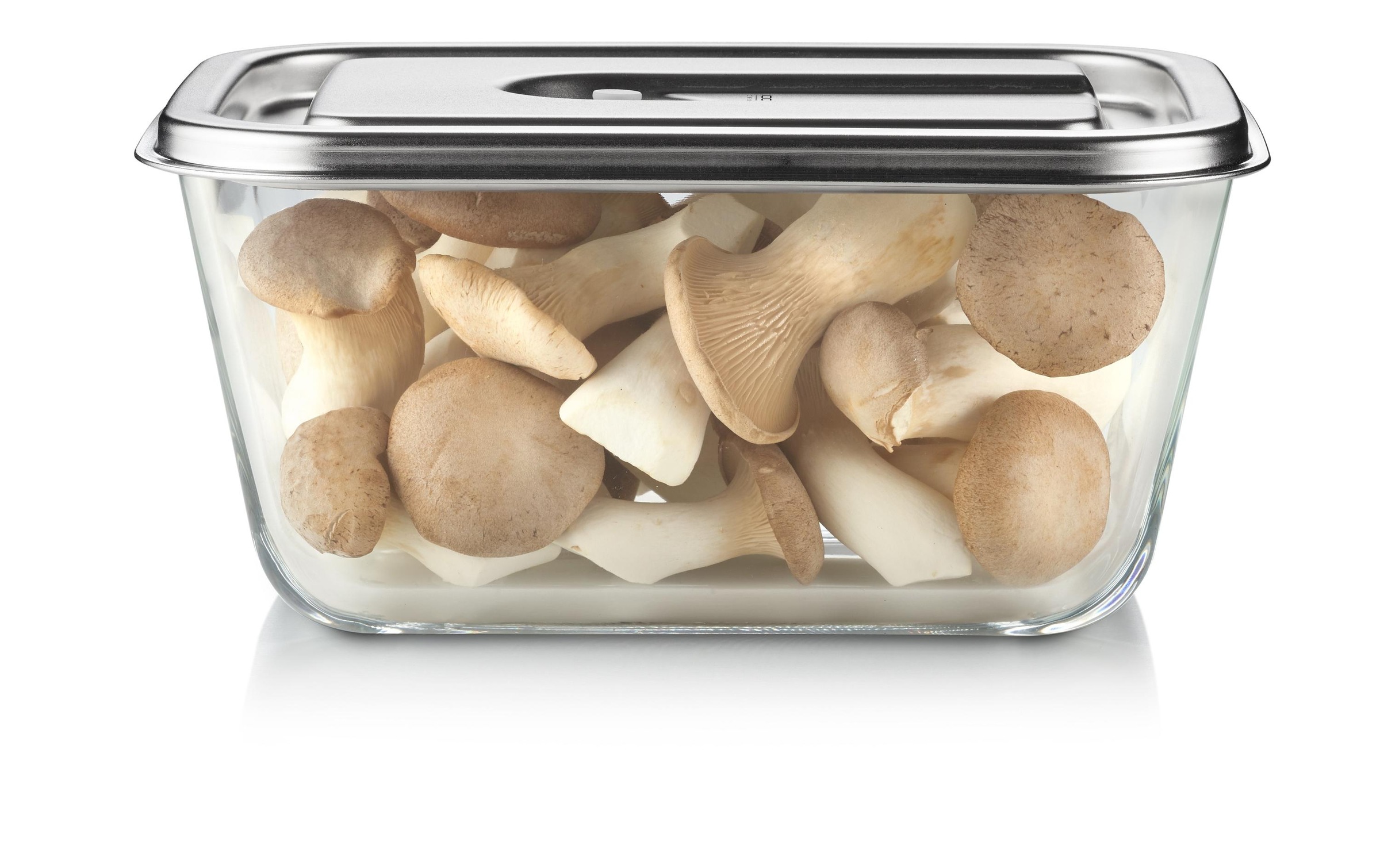 Caso Vakuumbehälter »VacuBoxx Inox XL«, (1 tlg.)