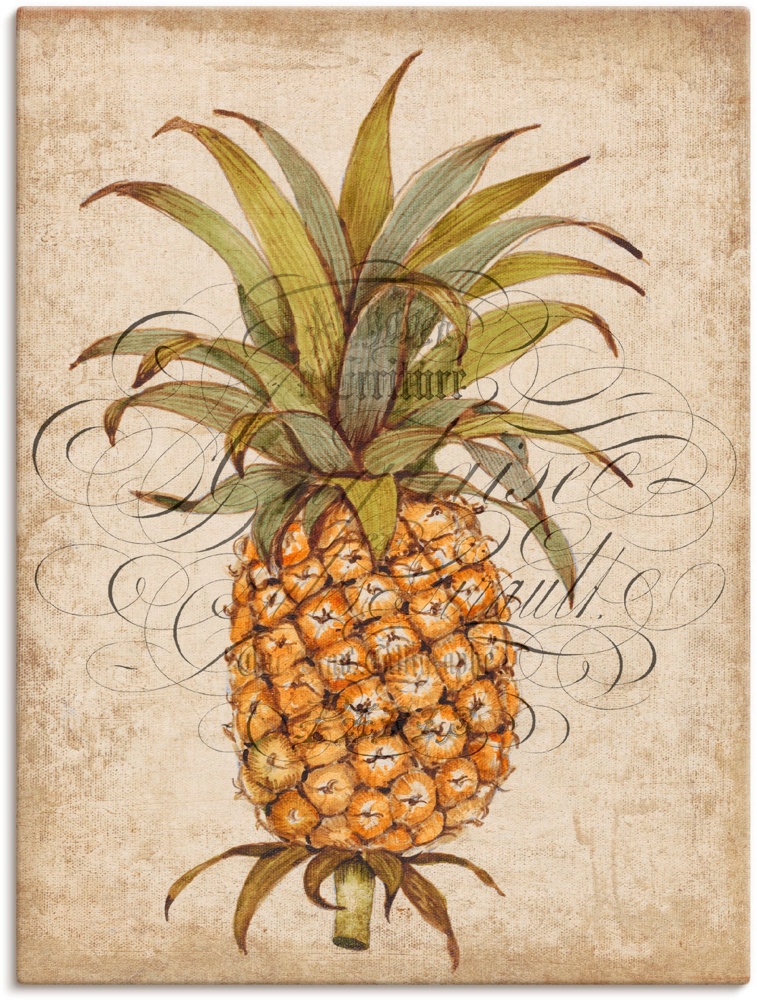 Image of Artland Wandbild »Ananas II«, Lebensmittel, (1 St.), in vielen Grössen & Produktarten - Alubild / Outdoorbild für den Aussenbereich, Leinwandbild, Poster, Wandaufkleber / Wandtattoo auch für Badezimmer geeignet bei Ackermann Versand Schweiz