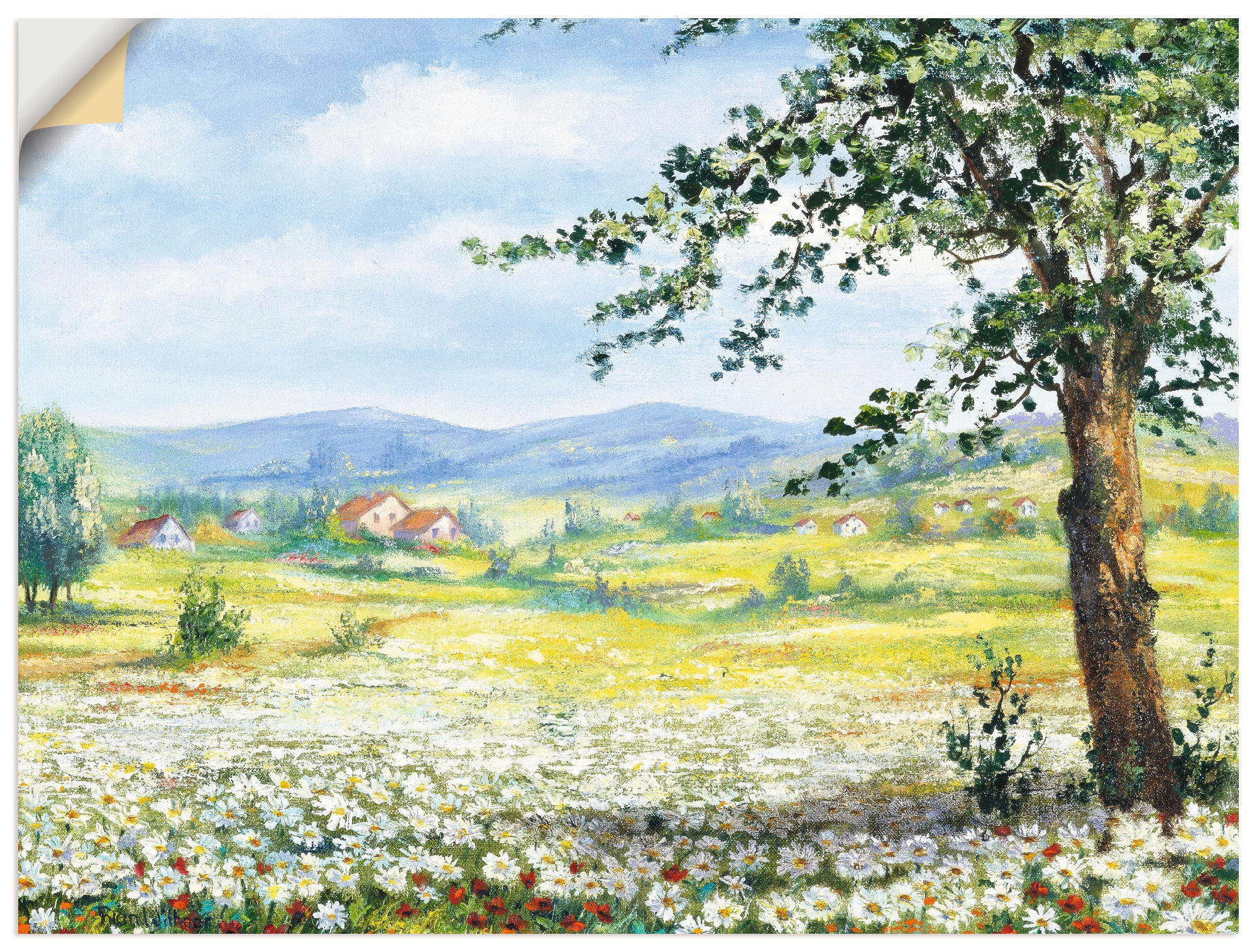Artland Wandbild »Margeritenfeld«, Wiesen & Bäume, (1 St.), als Poster, Wandaufkleber in verschied. Grössen