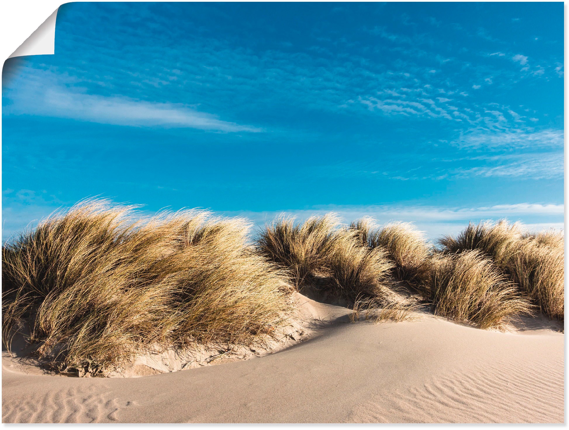 Image of Artland Wandbild »Düne an der Küste der Ostsee«, Strand, (1 St.), in vielen Grössen & Produktarten -Leinwandbild, Poster, Wandaufkleber / Wandtattoo auch für Badezimmer geeignet bei Ackermann Versand Schweiz