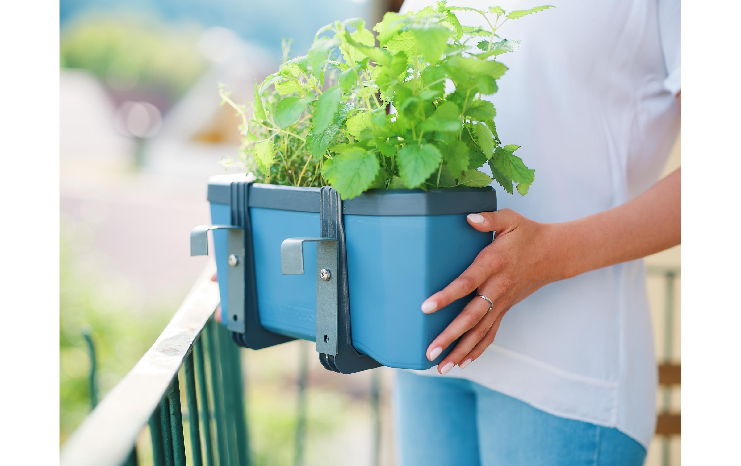 Gusta Garden Kräutertopf »HERBS blau«