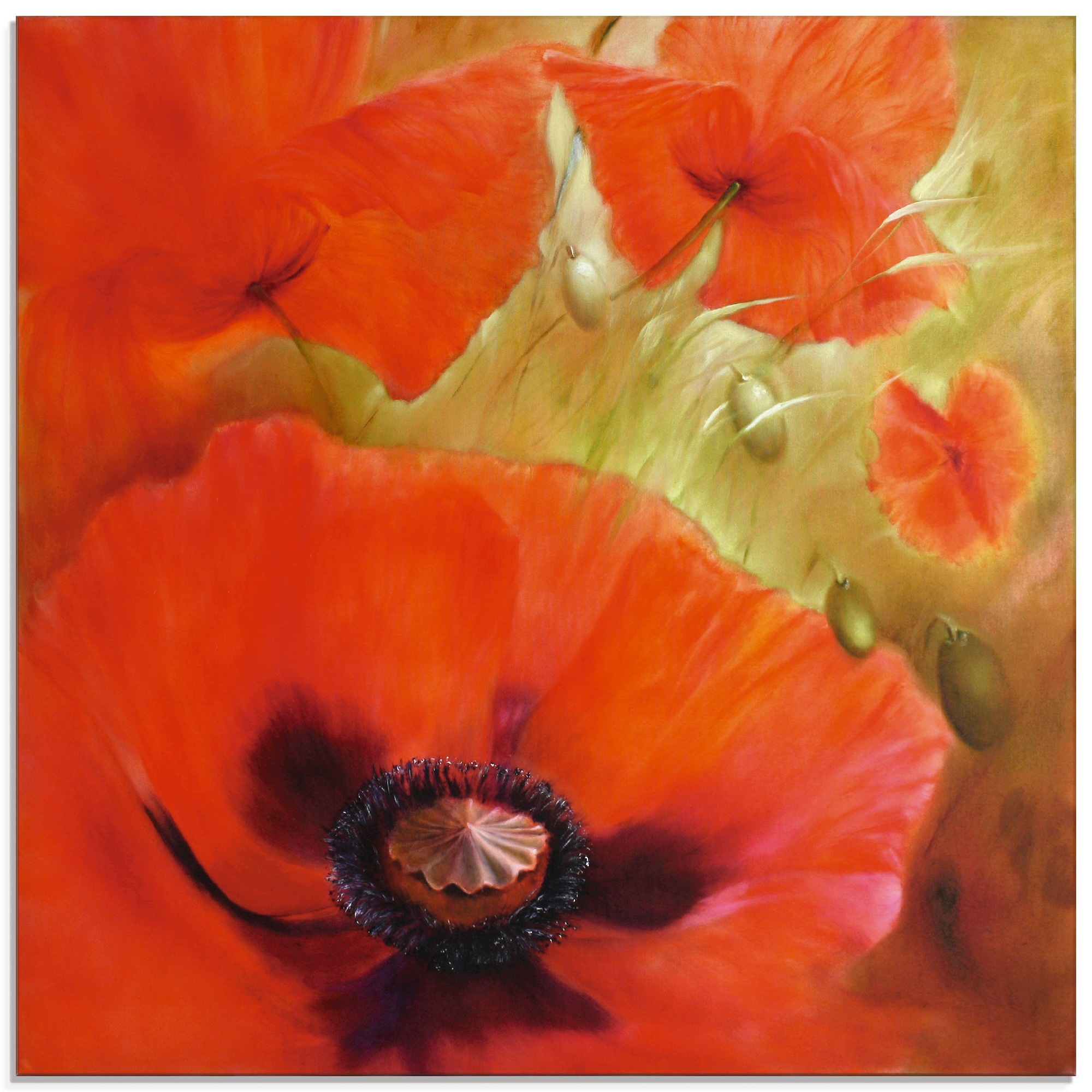 Image of Artland Glasbild »Vier mal Mohn«, Blumen, (1 St.) bei Ackermann Versand Schweiz