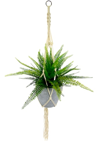 I.GE.A. Künstliche Zimmerpflanze »Farnbusch«, (1 St.), im Kunststofftopf, mit... kaufen