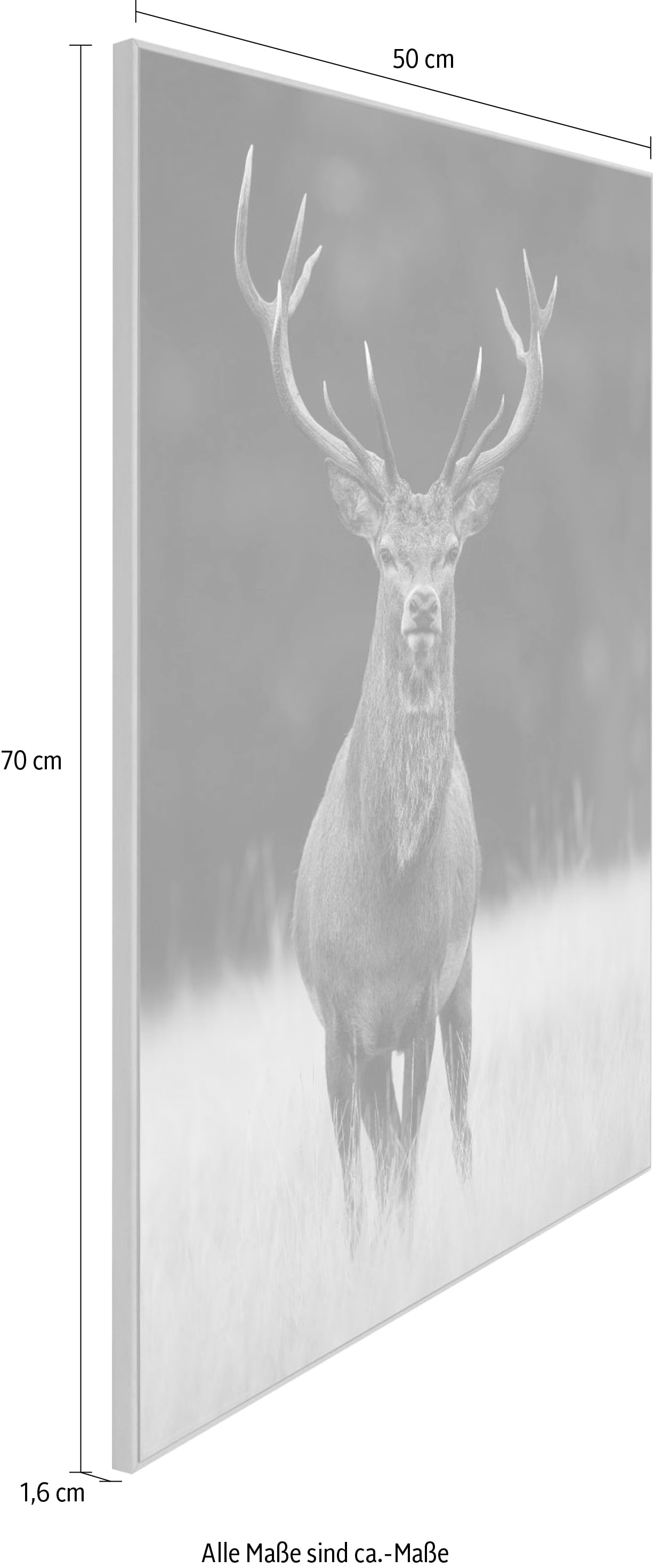 Reinders! Wandbild »Slim Frame Wood kaufen Deer« bequem 50x70
