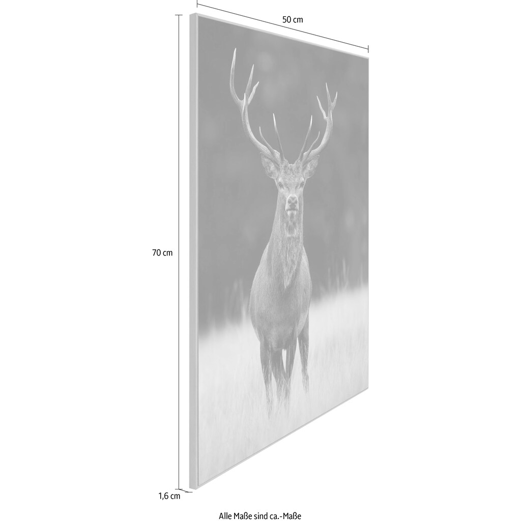 Reinders! Wandbild »Slim Frame Wood 50x70 Deer«