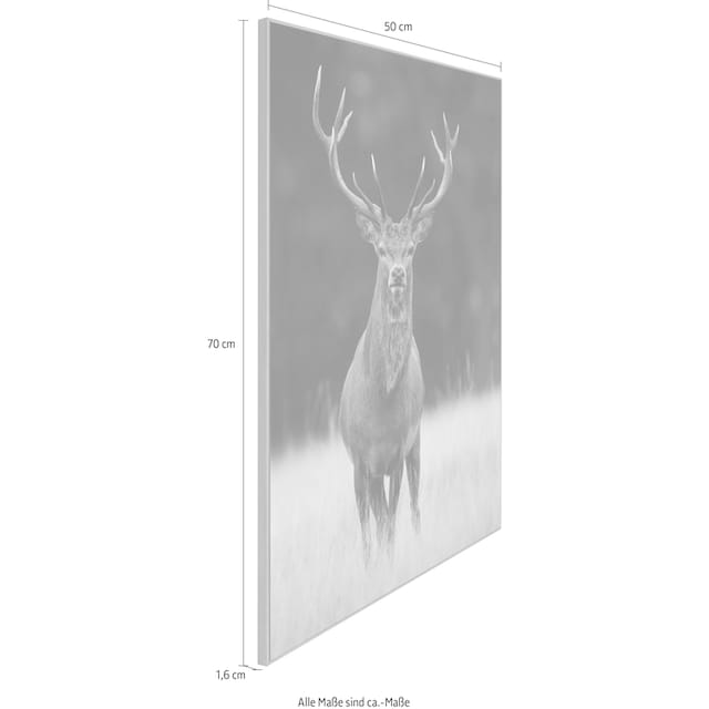 Reinders! Wandbild »Slim Frame Wood 50x70 Deer« bequem kaufen