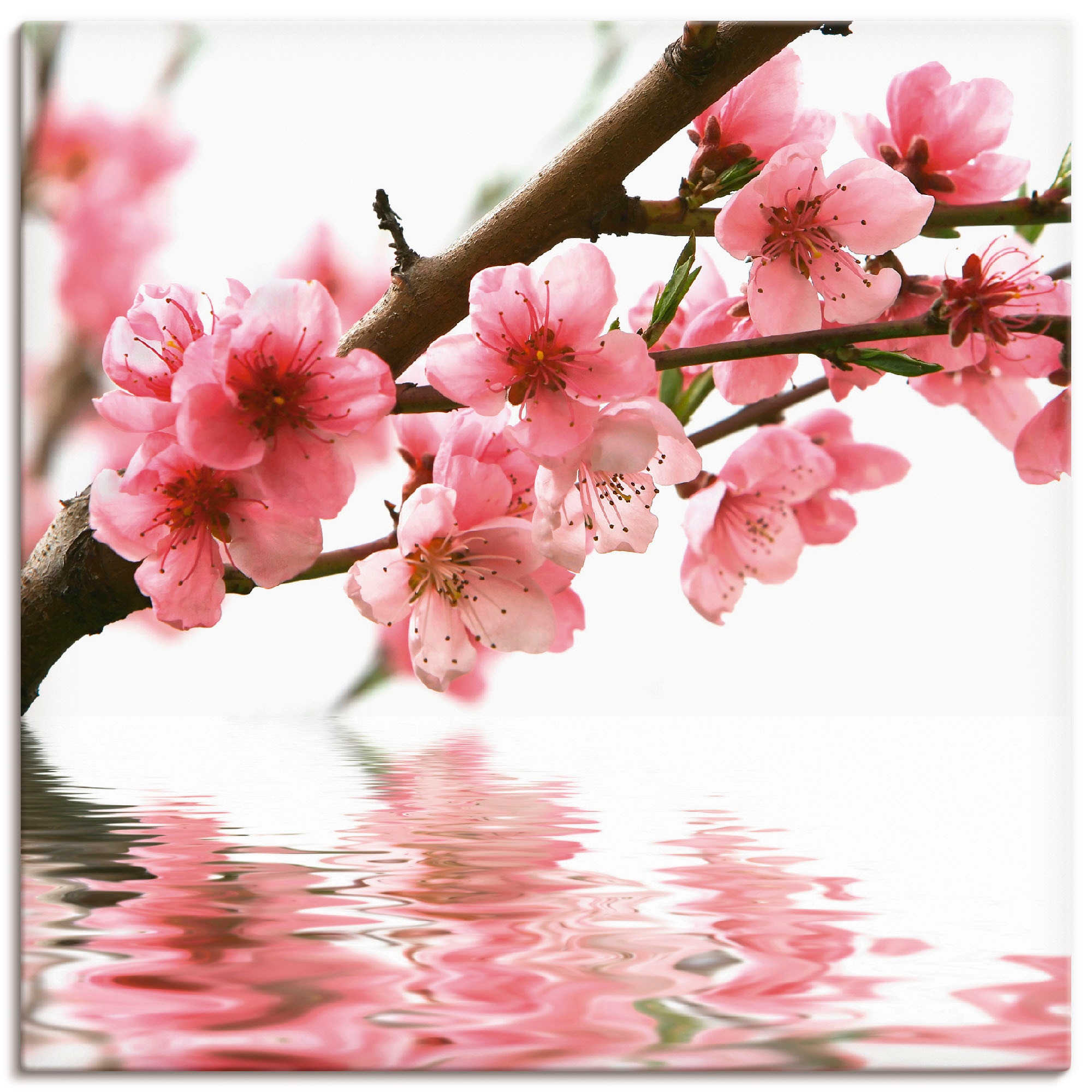 Image of Artland Leinwandbild "Pfirsichblüten reflektieren im Wasser" Blumen 1 Stk. tlg. auf Holzrahmen gespannt