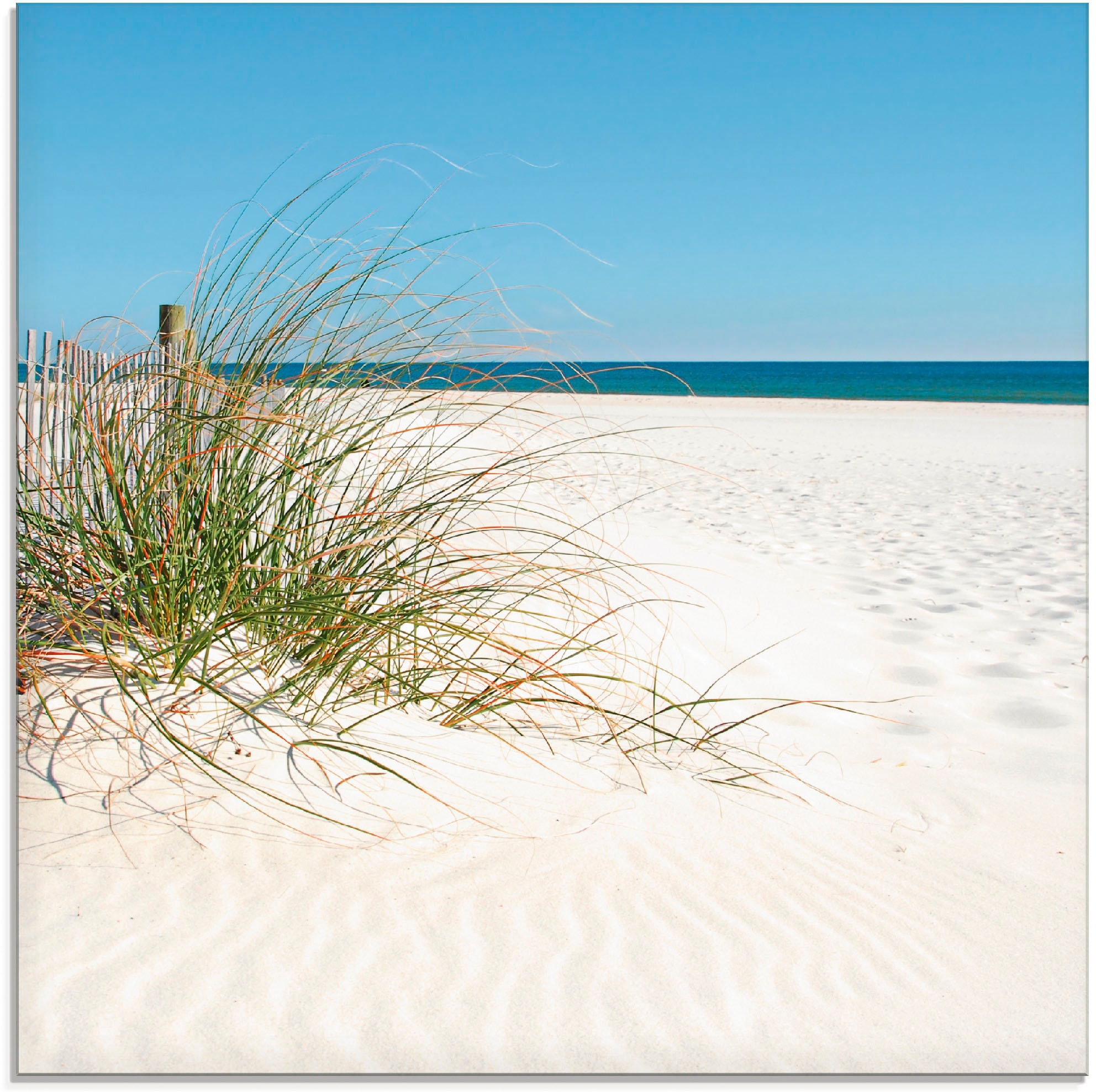 Image of Artland Glasbild "Schöne Sanddüne mit Gräsern und Zaun" Strand 1 Stk. tlg. in verschiedenen Grössen